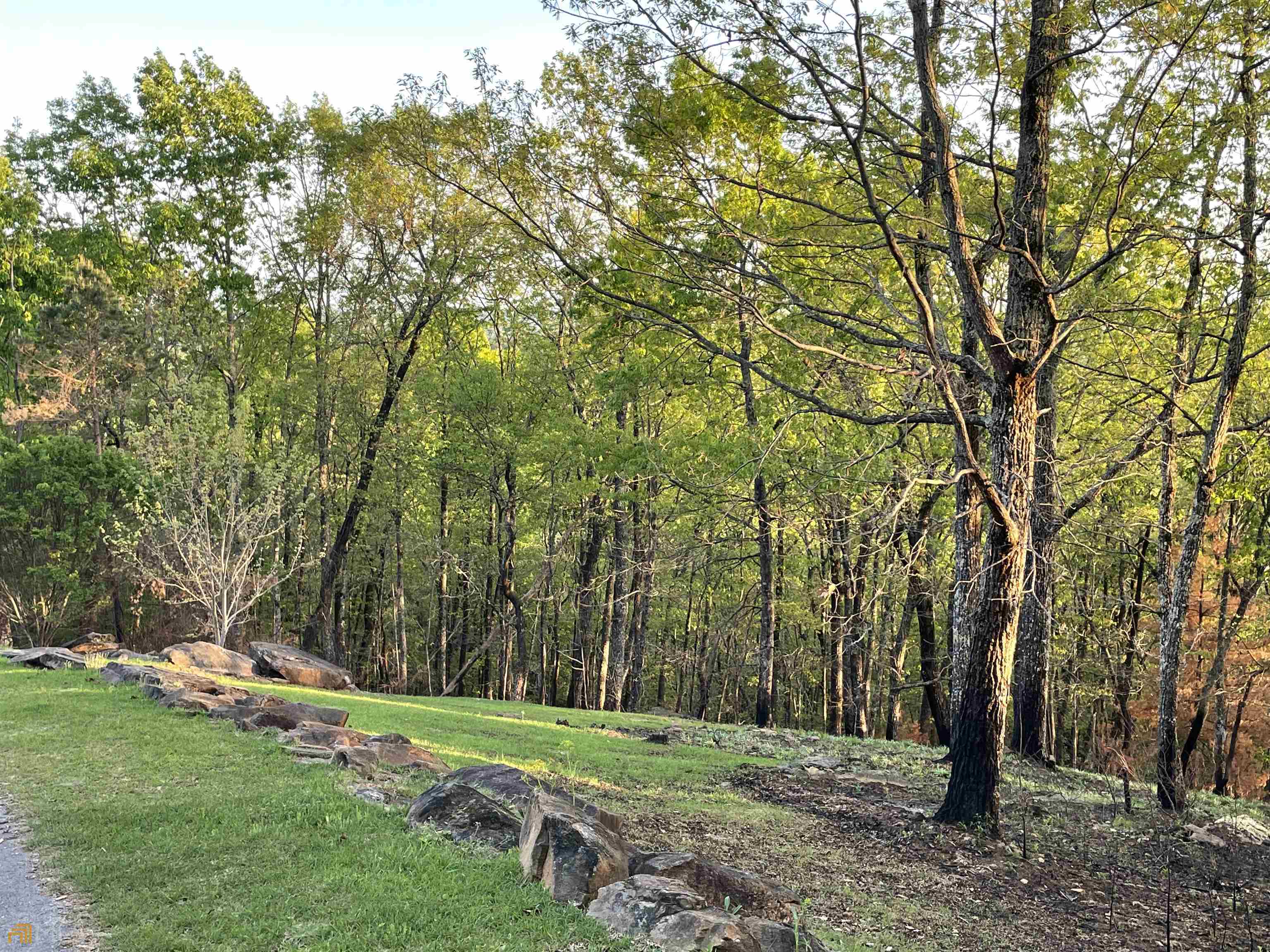 0 Little Eagle Mountain Lot 5 Property Photo 11
