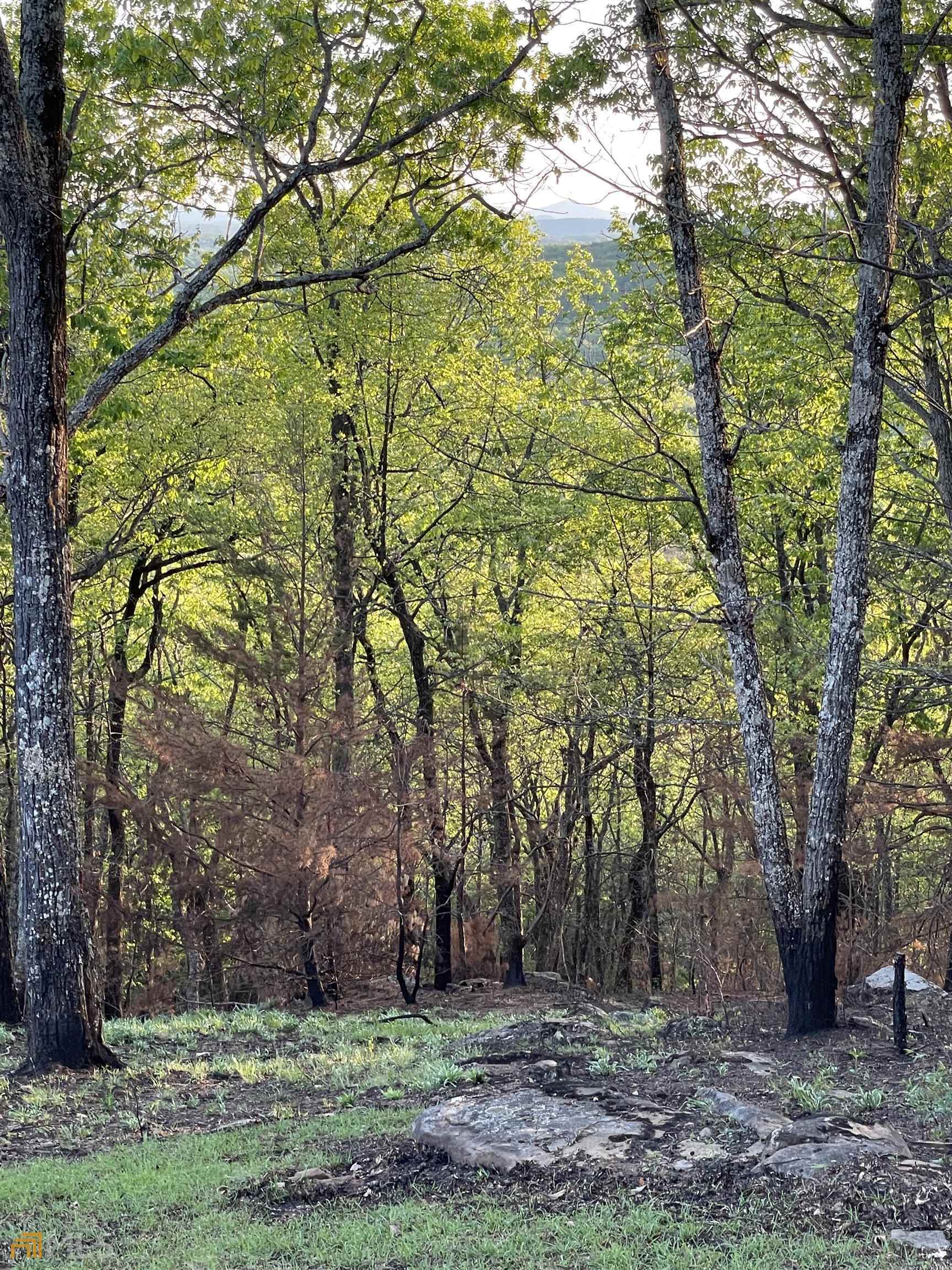 0 Little Eagle Mountain Lot 5 Property Photo 12