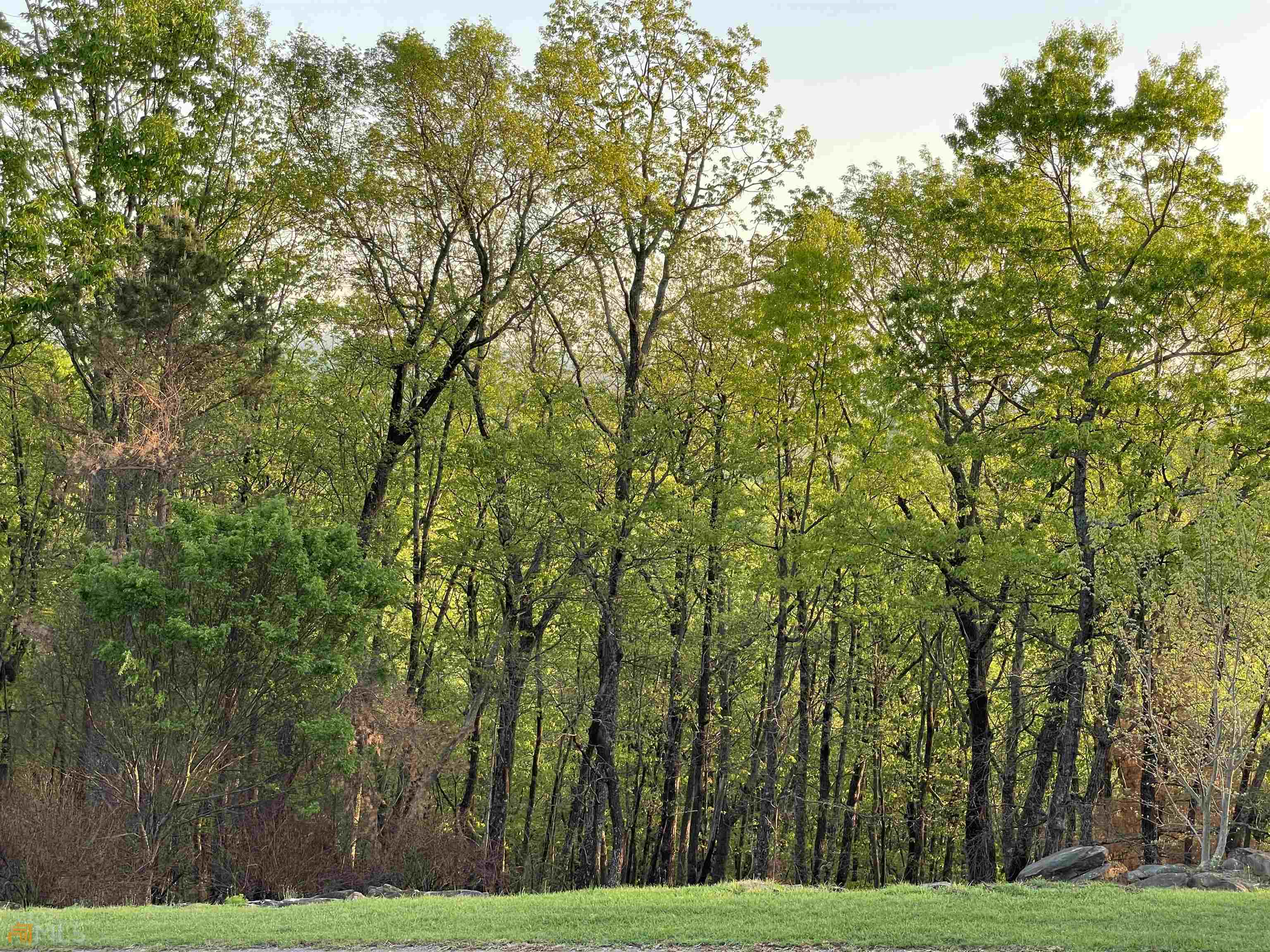 0 Little Eagle Mountain Lot 5 Property Photo 13