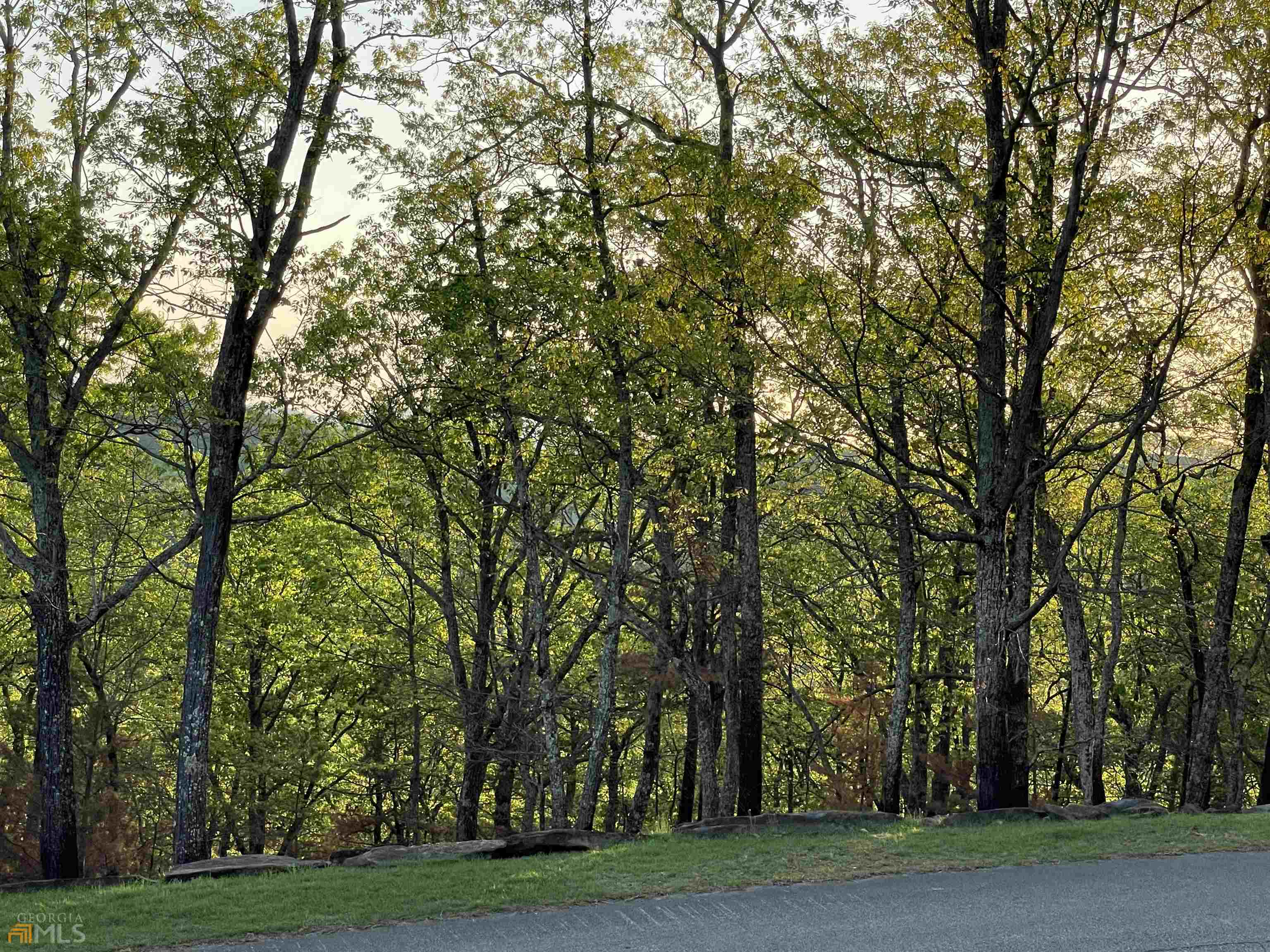 0 Little Eagle Mountain Lot 5 Property Photo 14