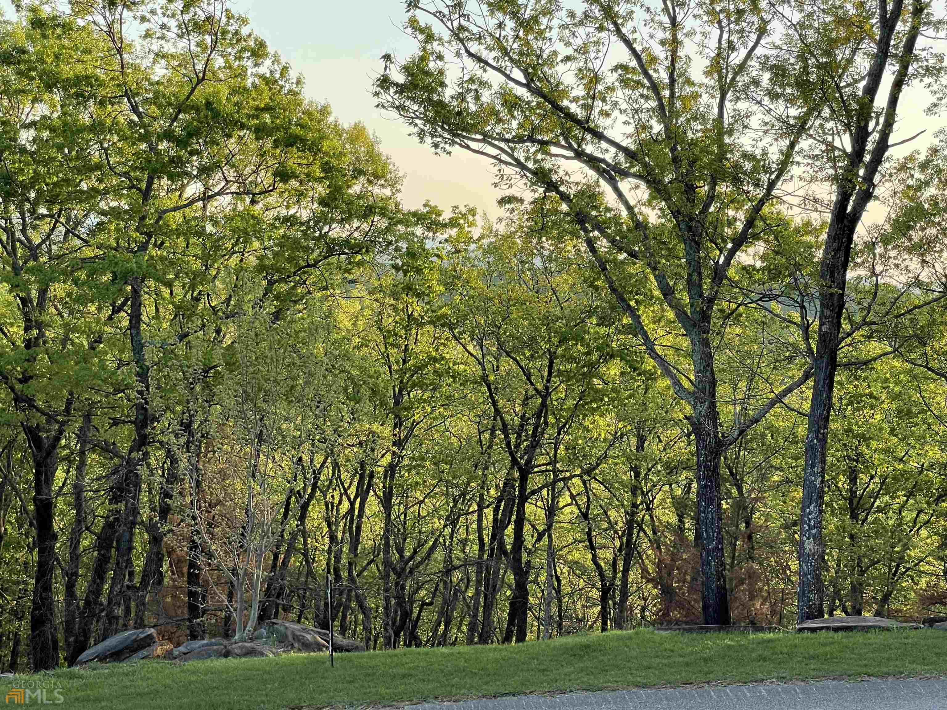 0 Little Eagle Mountain Lot 5 Property Photo 15
