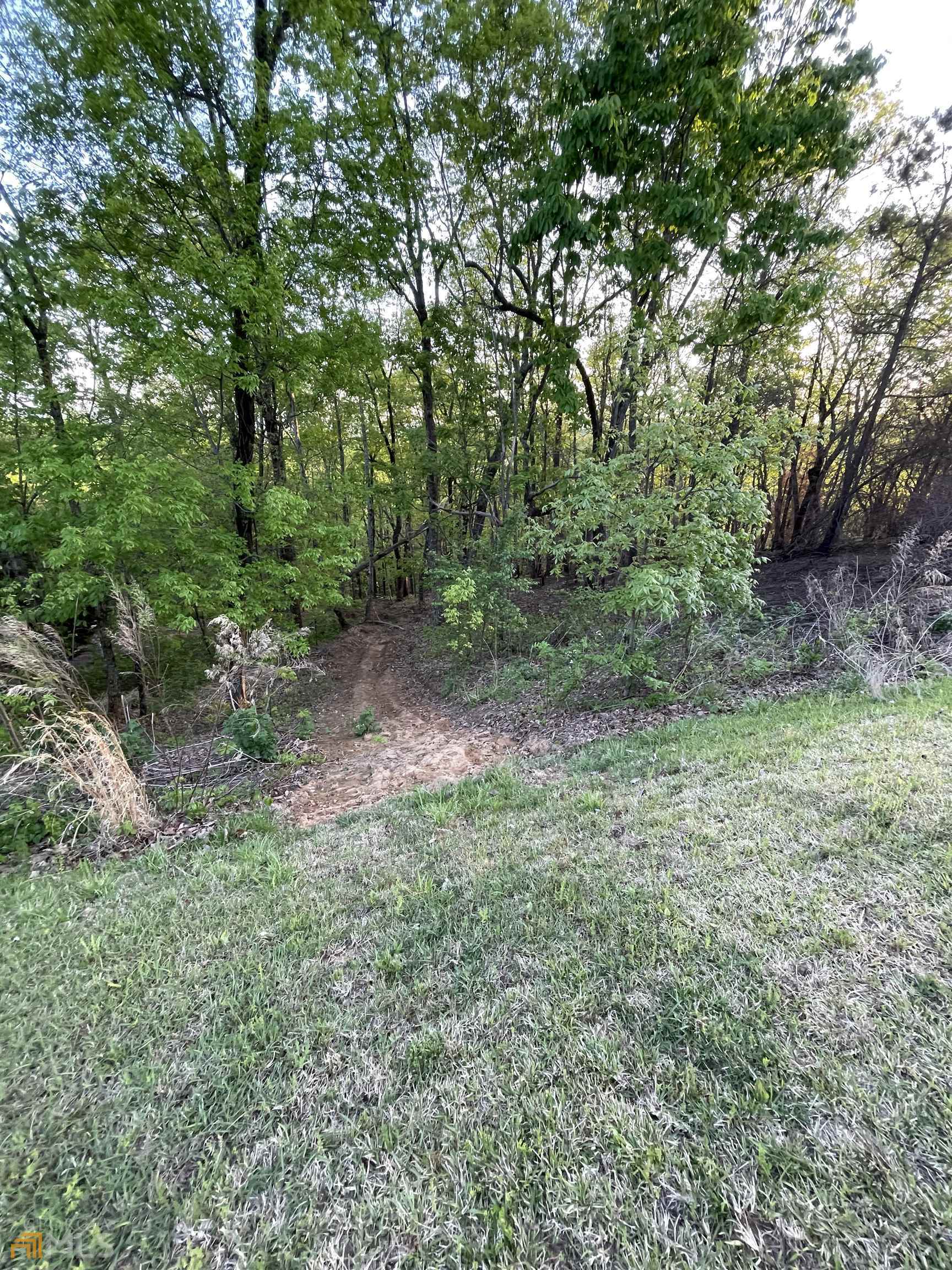 0 Little Eagle Mountain Lot 5 Property Photo 16