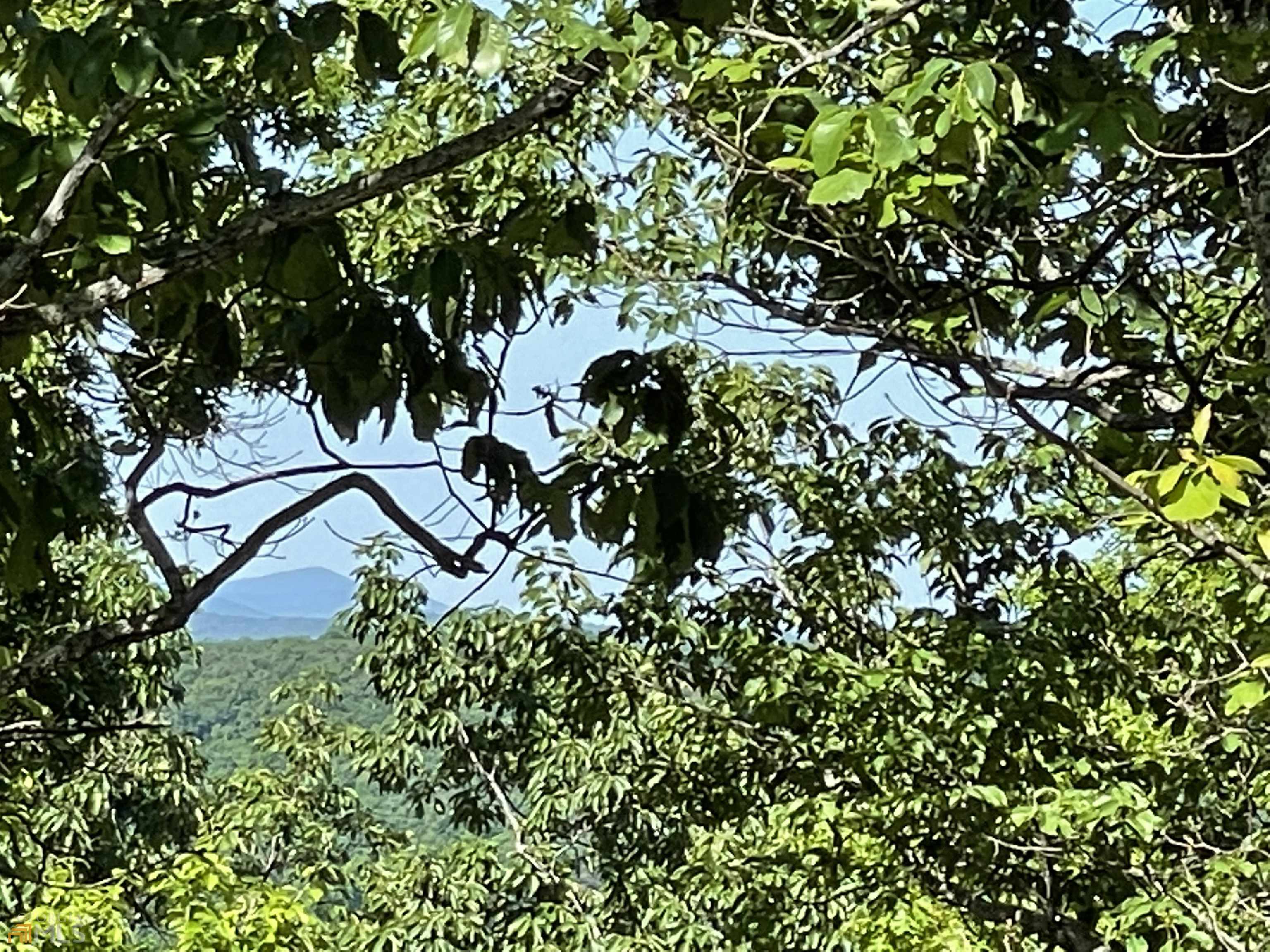 0 Little Eagle Mountain Lot 5 Property Photo 32