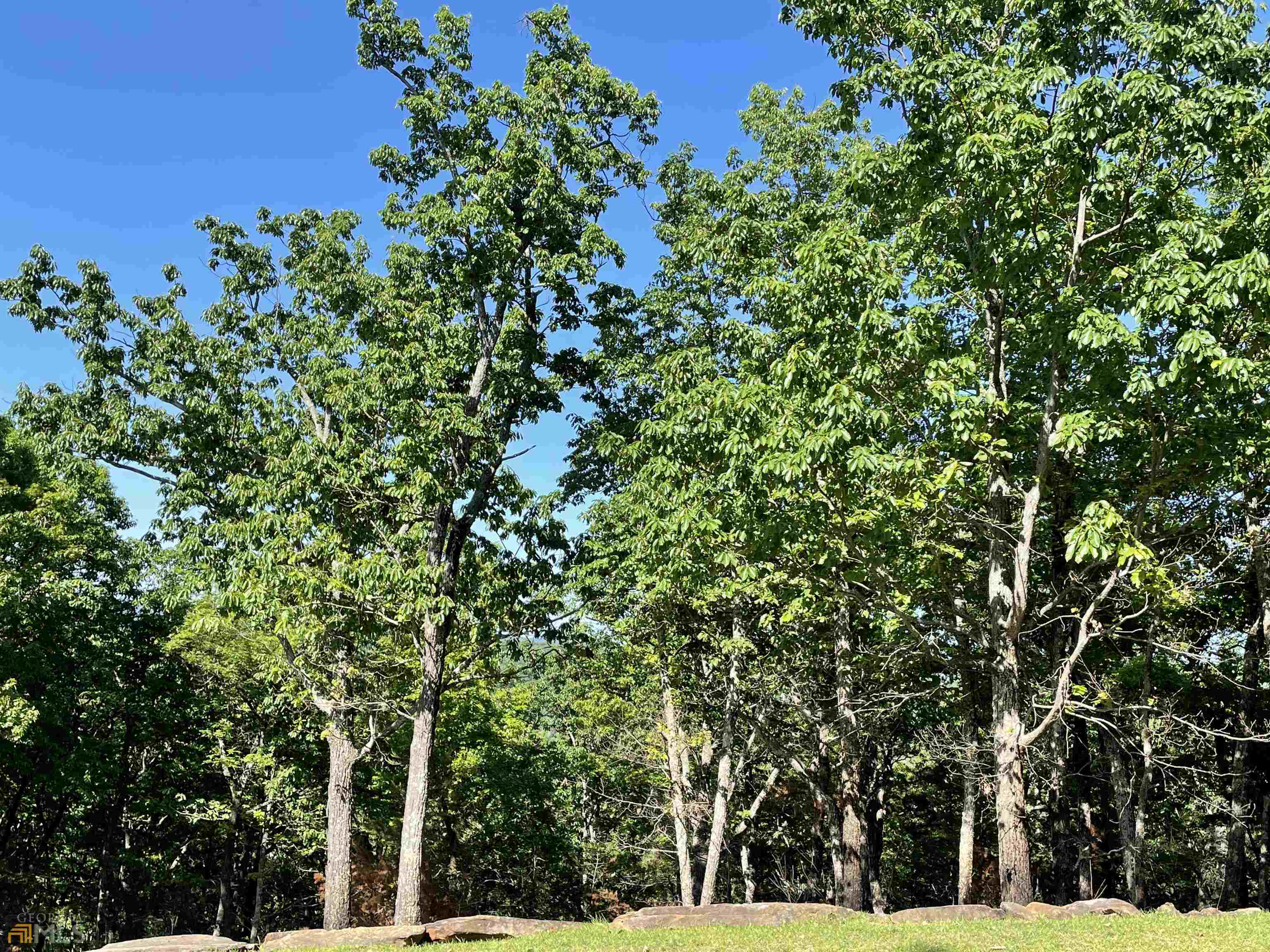 0 Little Eagle Mountain Lot 5 Property Photo 35