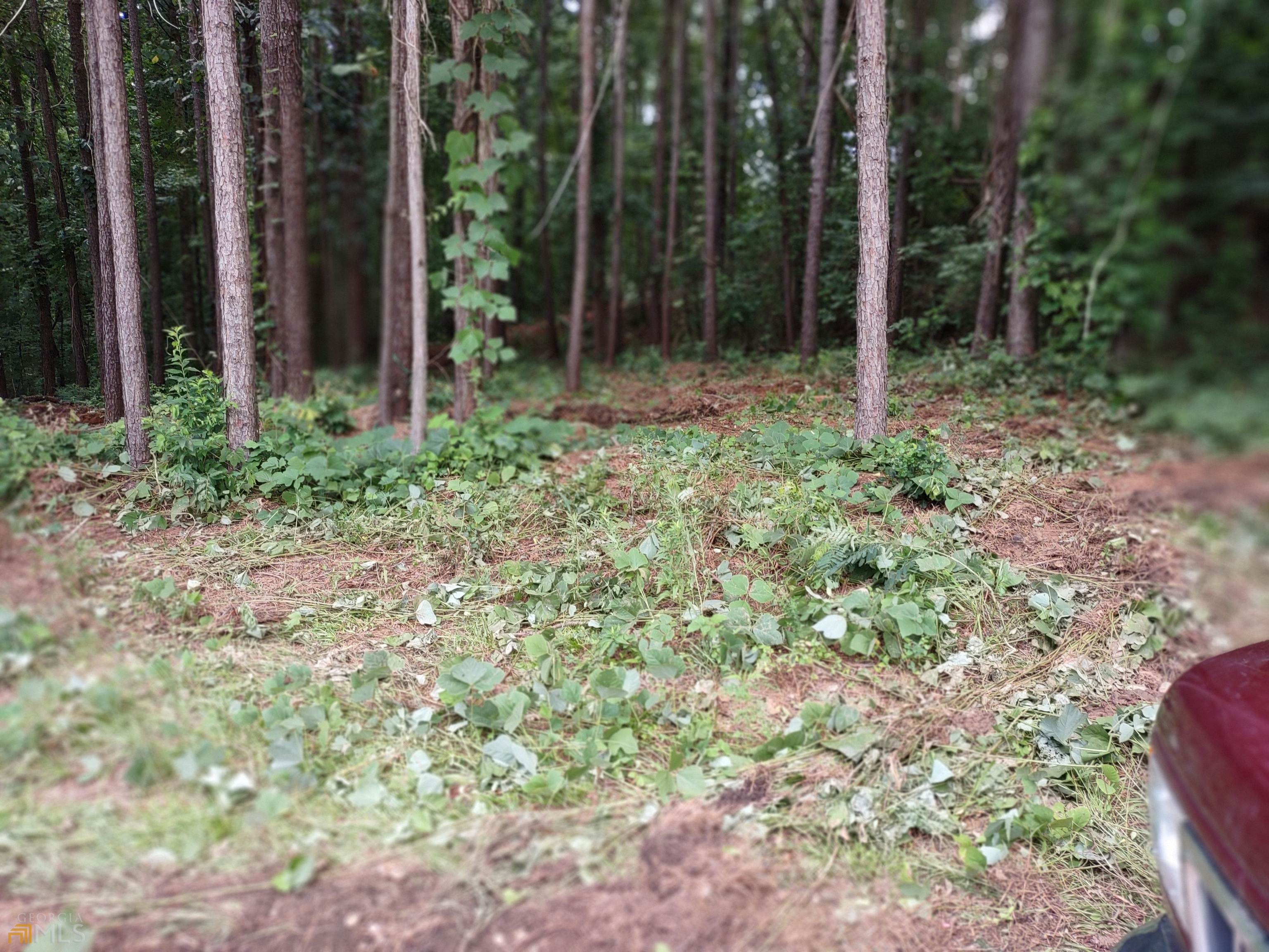 226 Farmbrook Parkway Property Photo 9