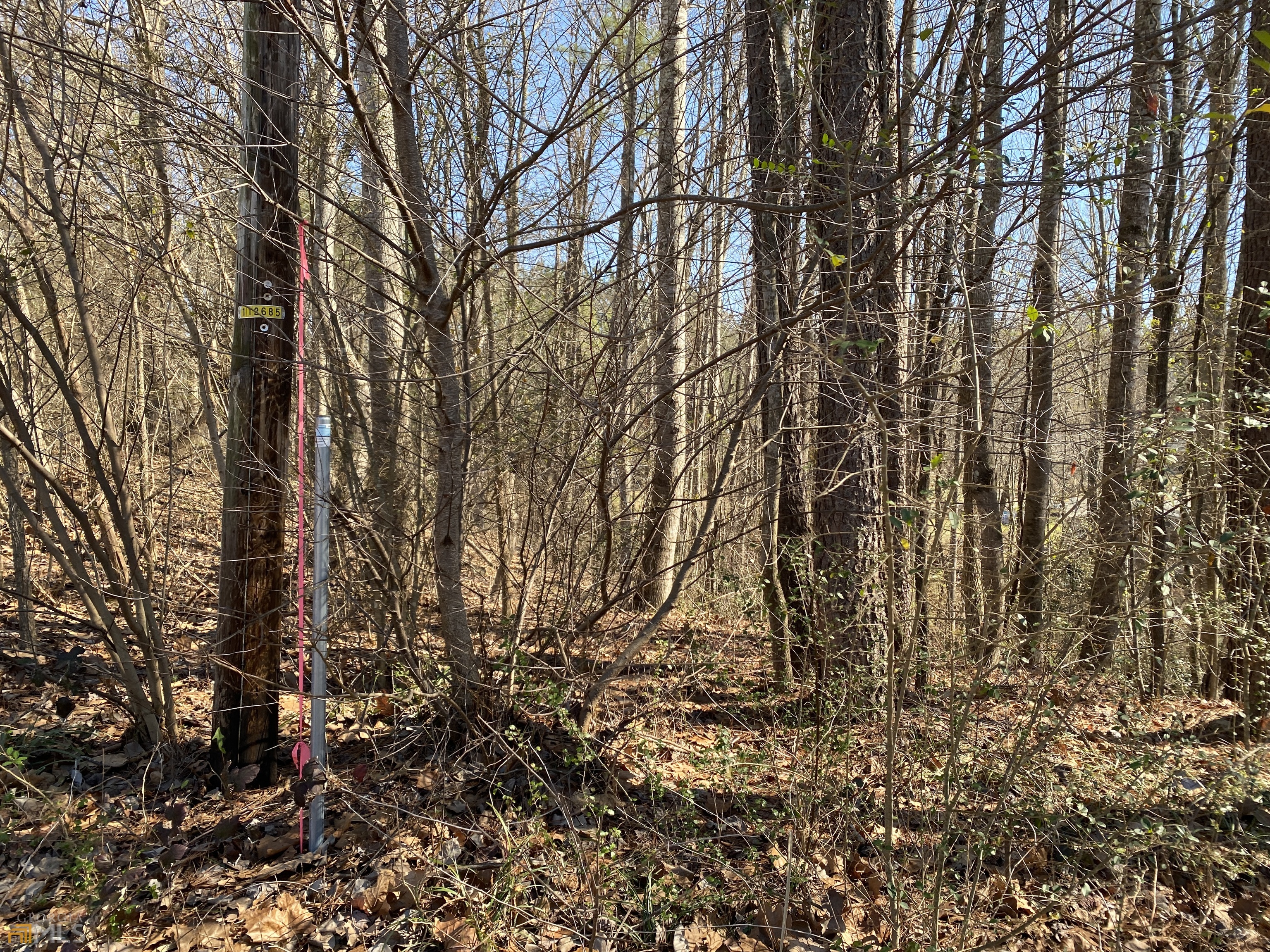 226 Farmbrook Parkway Property Photo 15