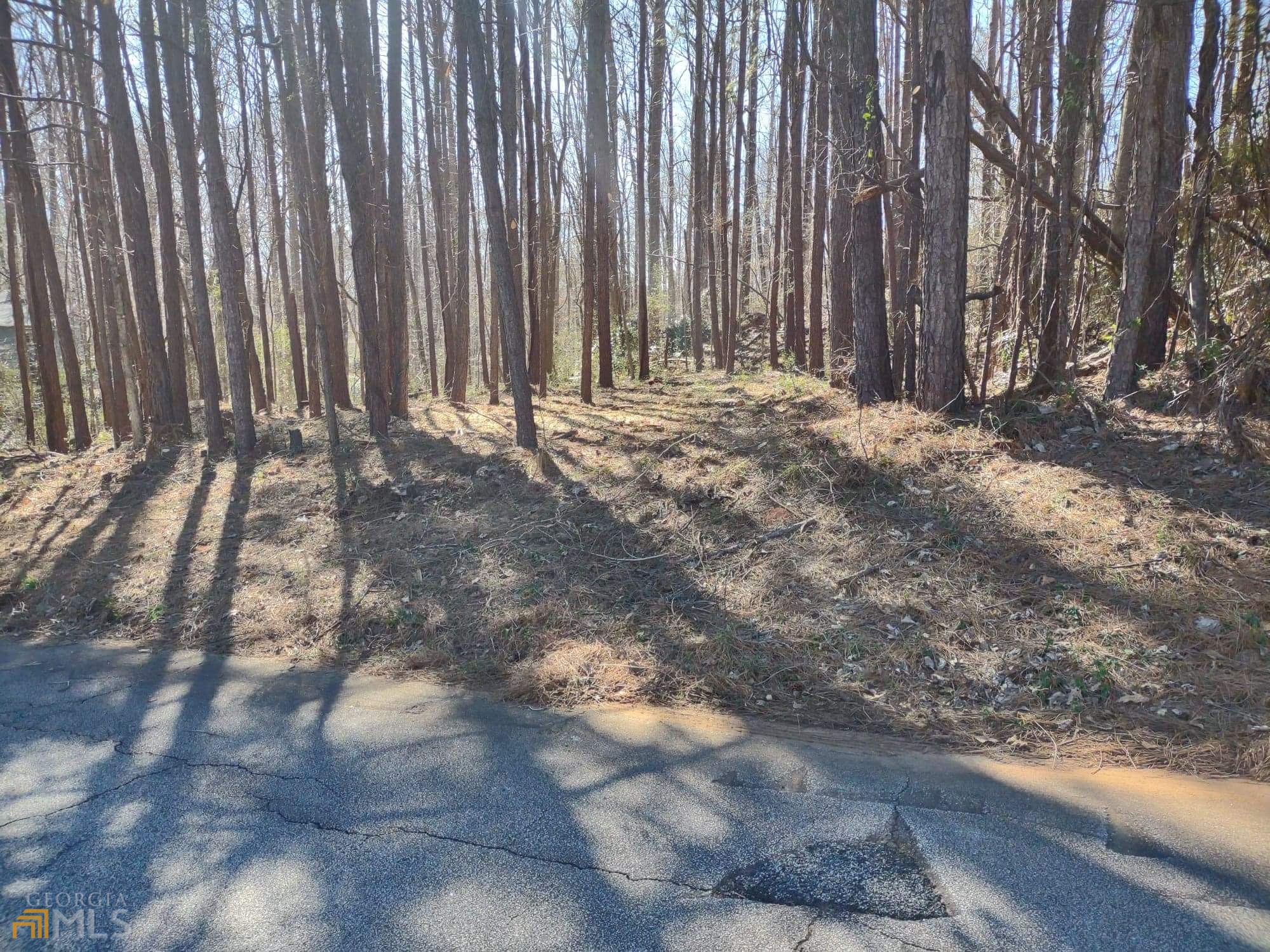 226 Farmbrook Parkway Property Photo 17