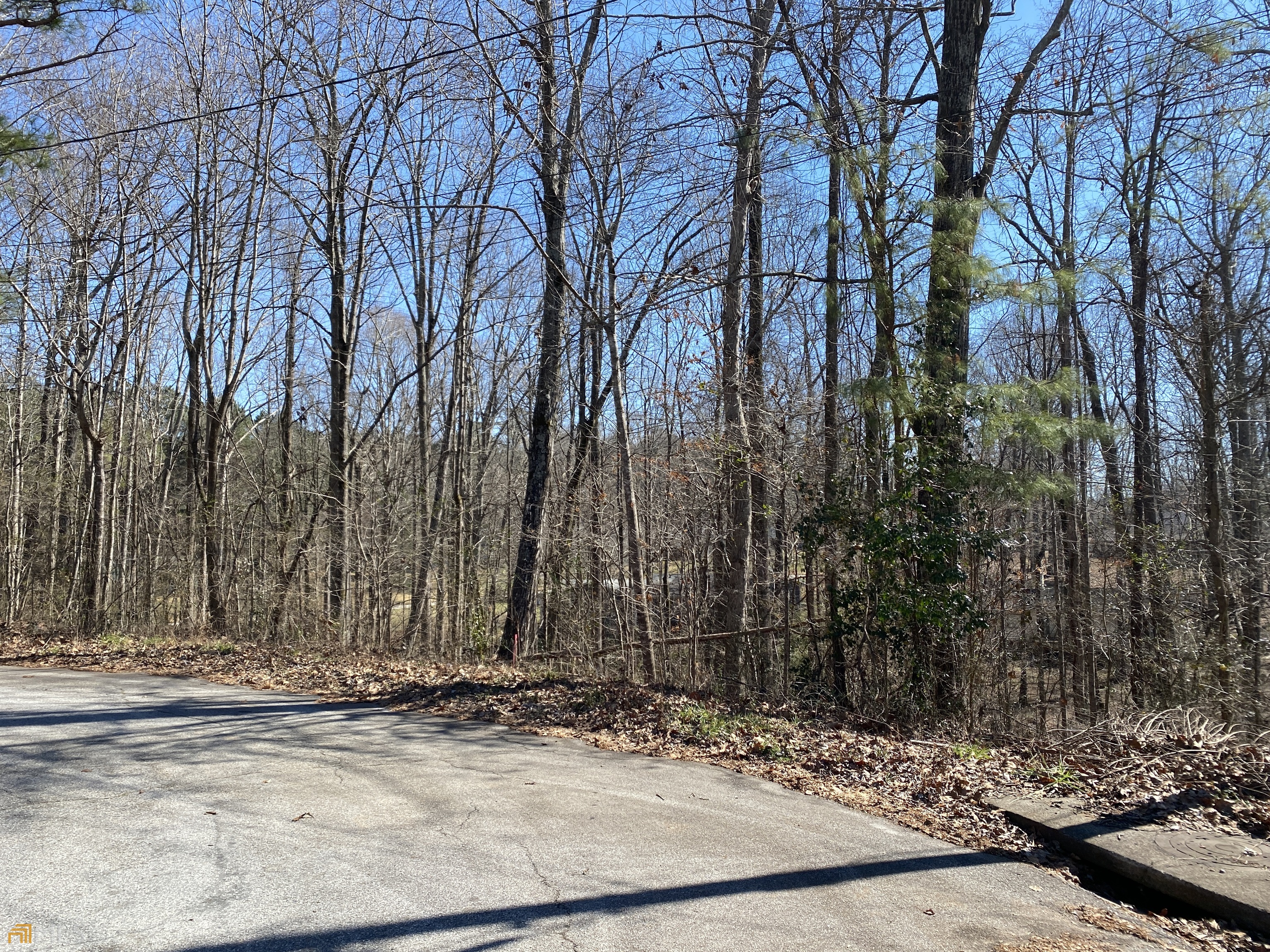 226 Farmbrook Parkway Property Photo 18
