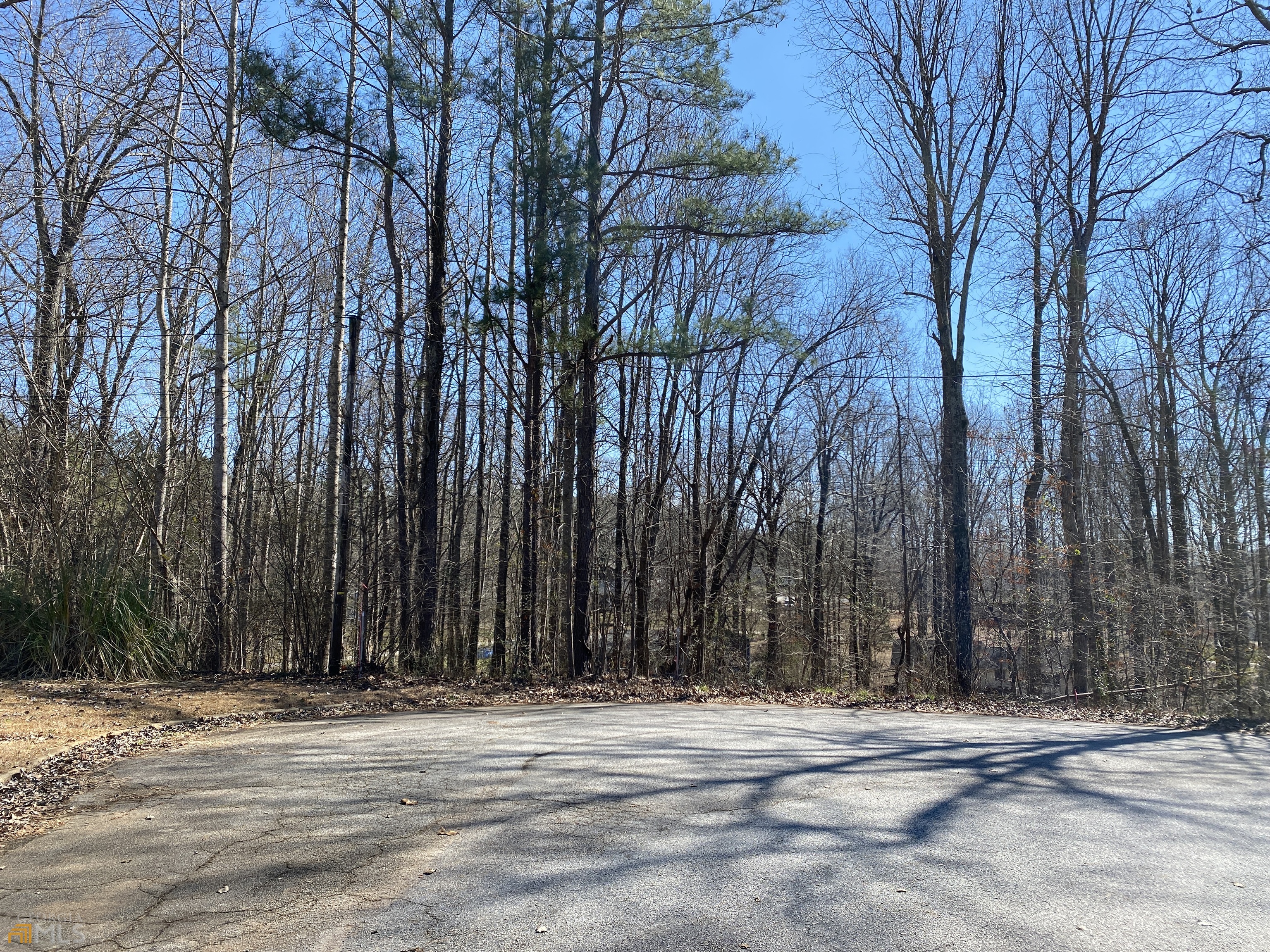 226 Farmbrook Parkway Property Photo 19