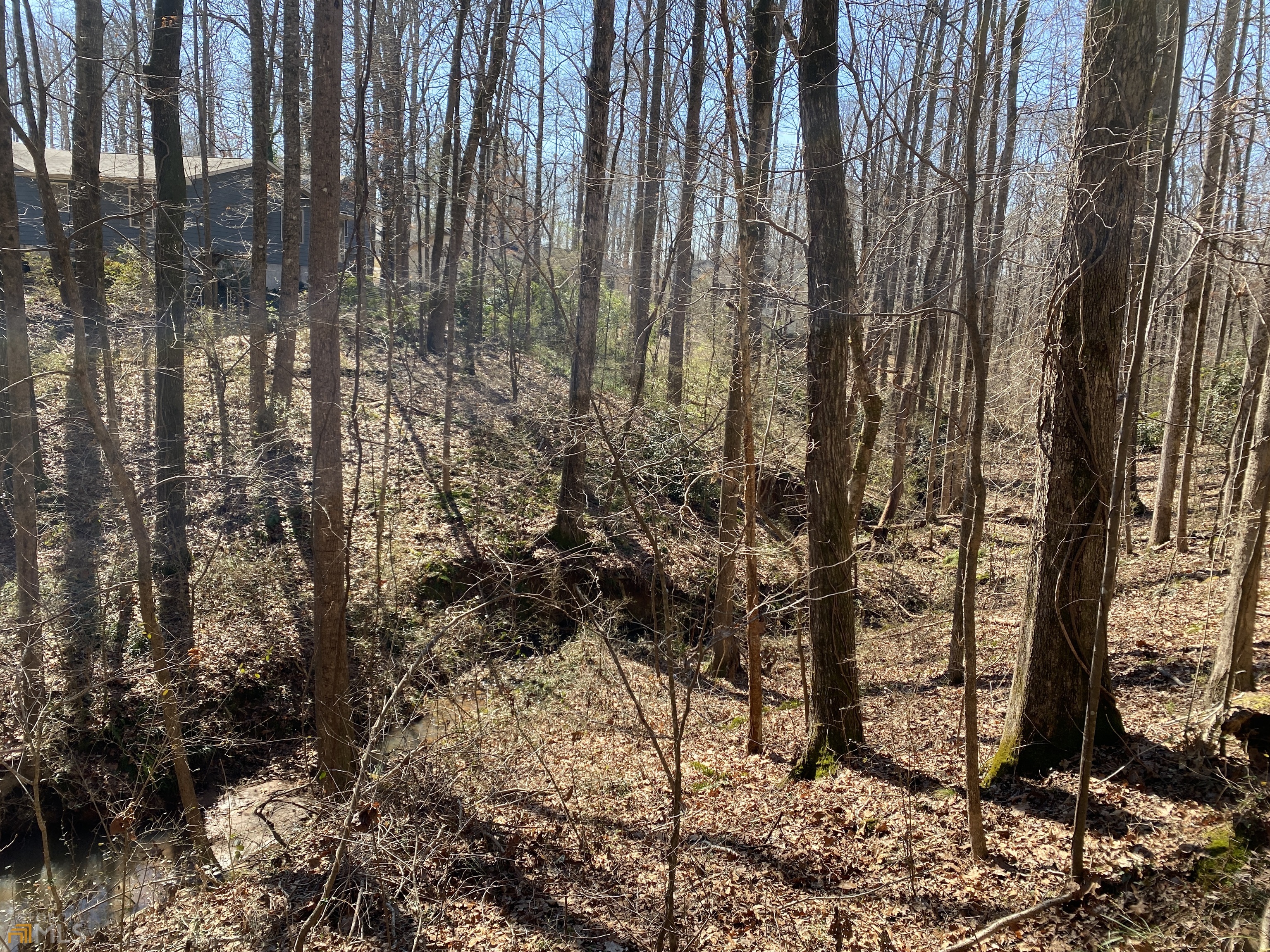 226 Farmbrook Parkway Property Photo 20