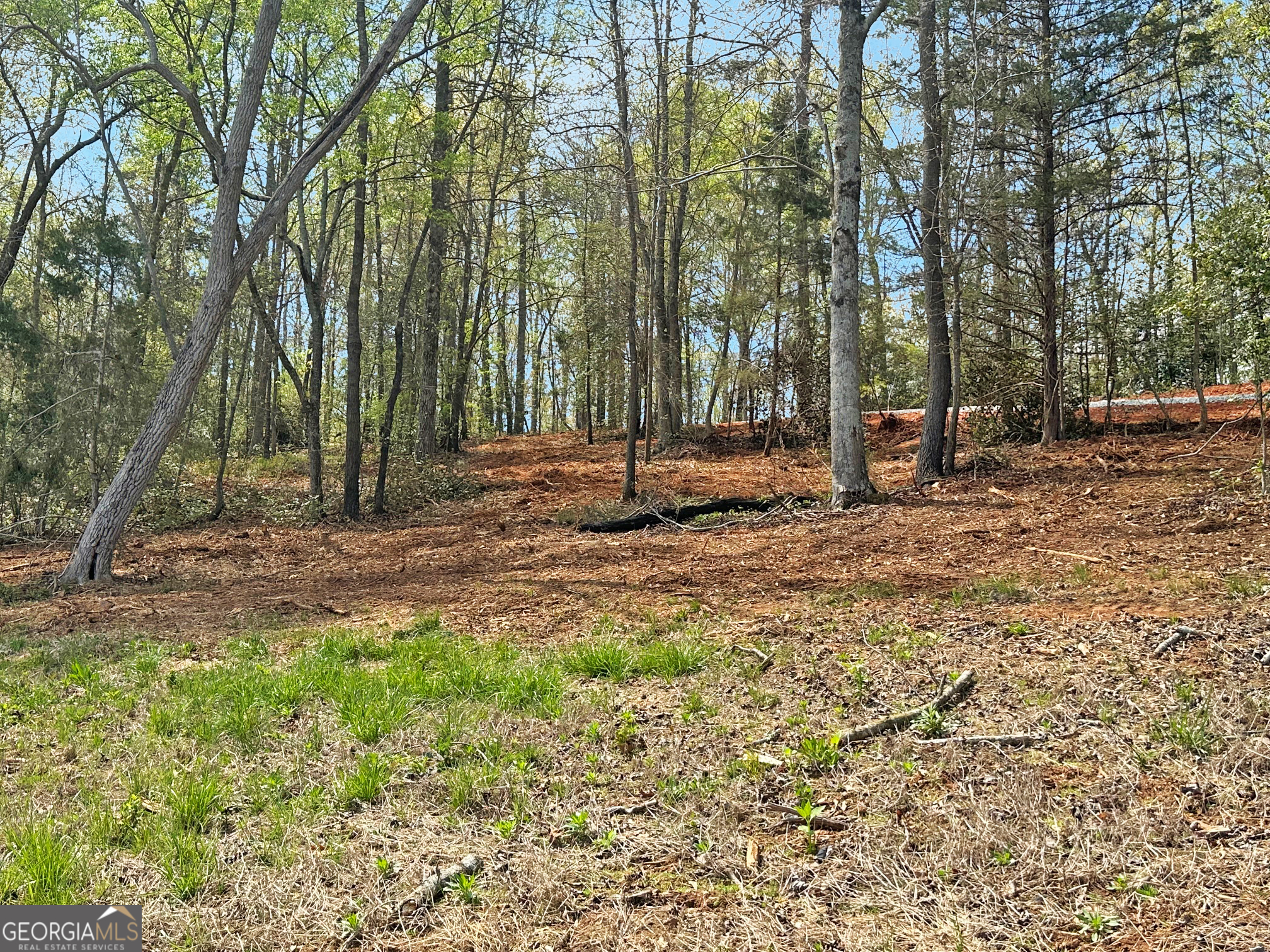 102 Broad River Road Lot 6 Property Photo 7