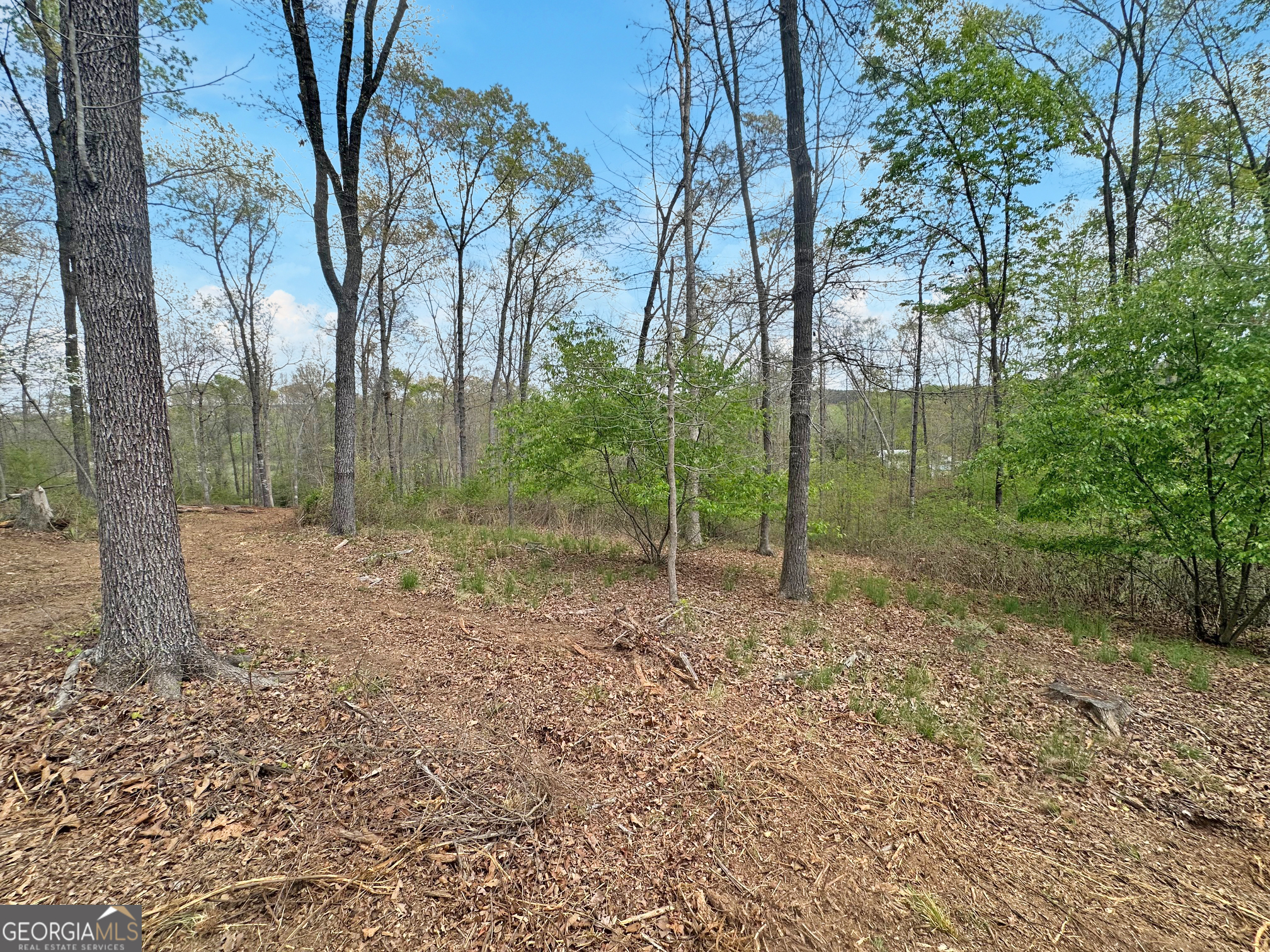 102 Broad River Road Lot 6 Property Photo 8