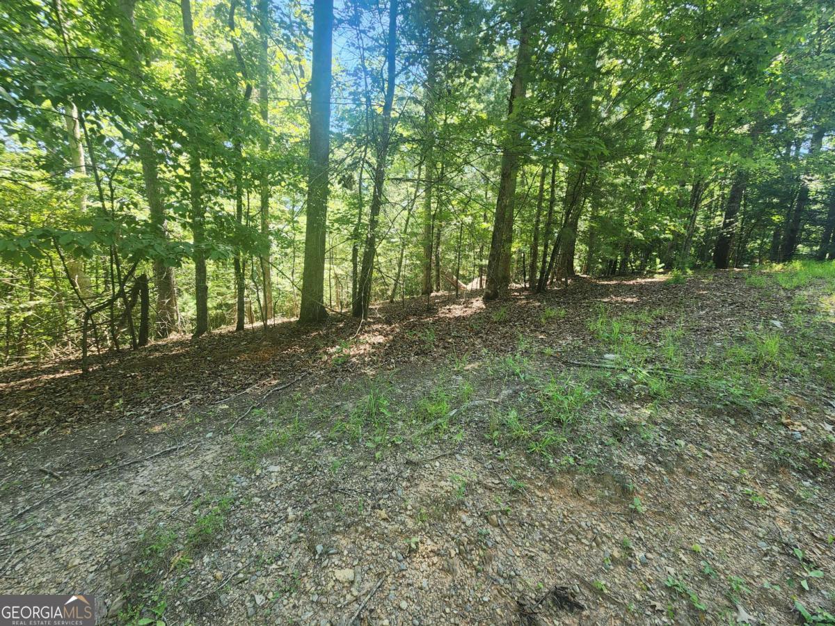 Lot 3 Meadow View Drive # 3 Property Photo 1