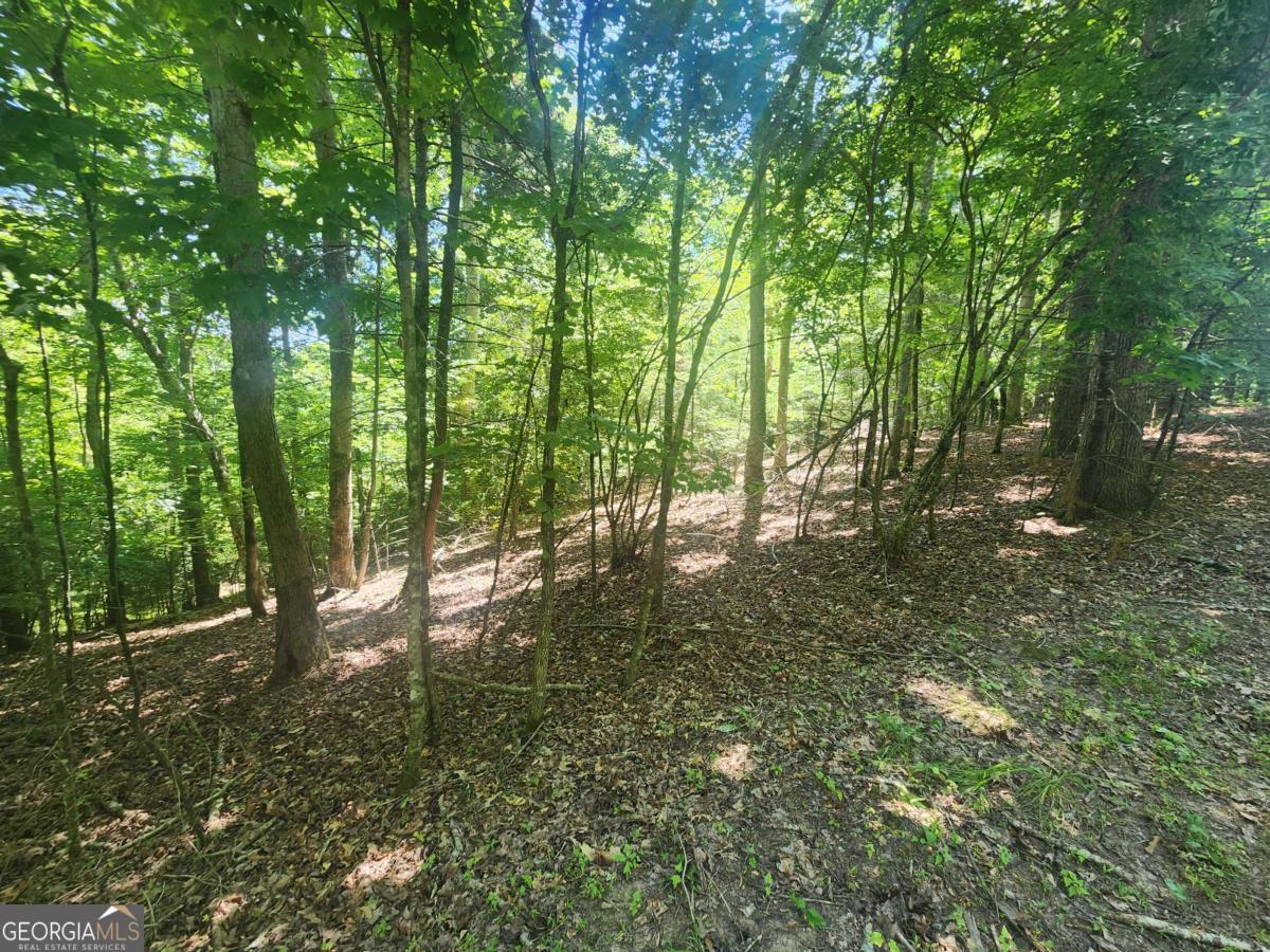 Lot 3 Meadow View Drive # 3 Property Photo 3