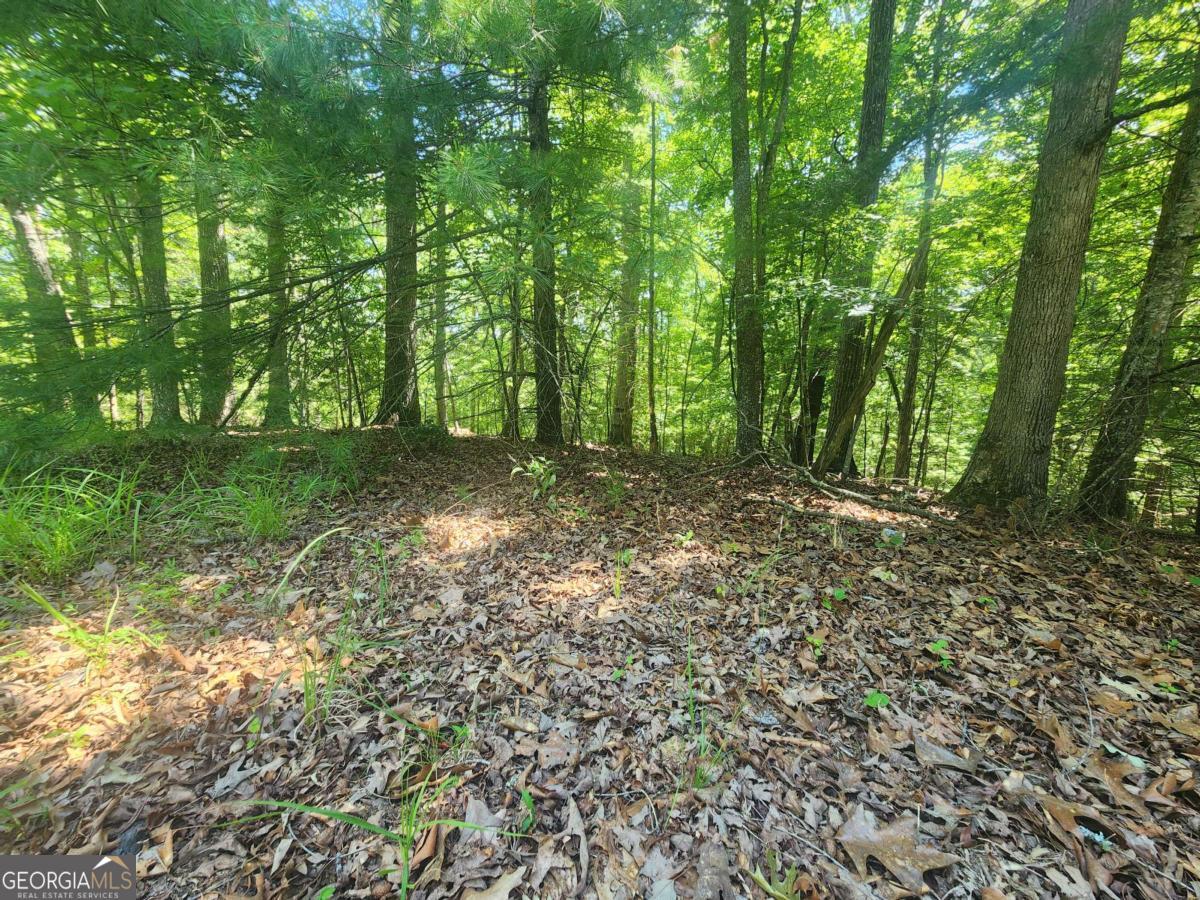 Lot 3 Meadow View Drive # 3 Property Photo 4