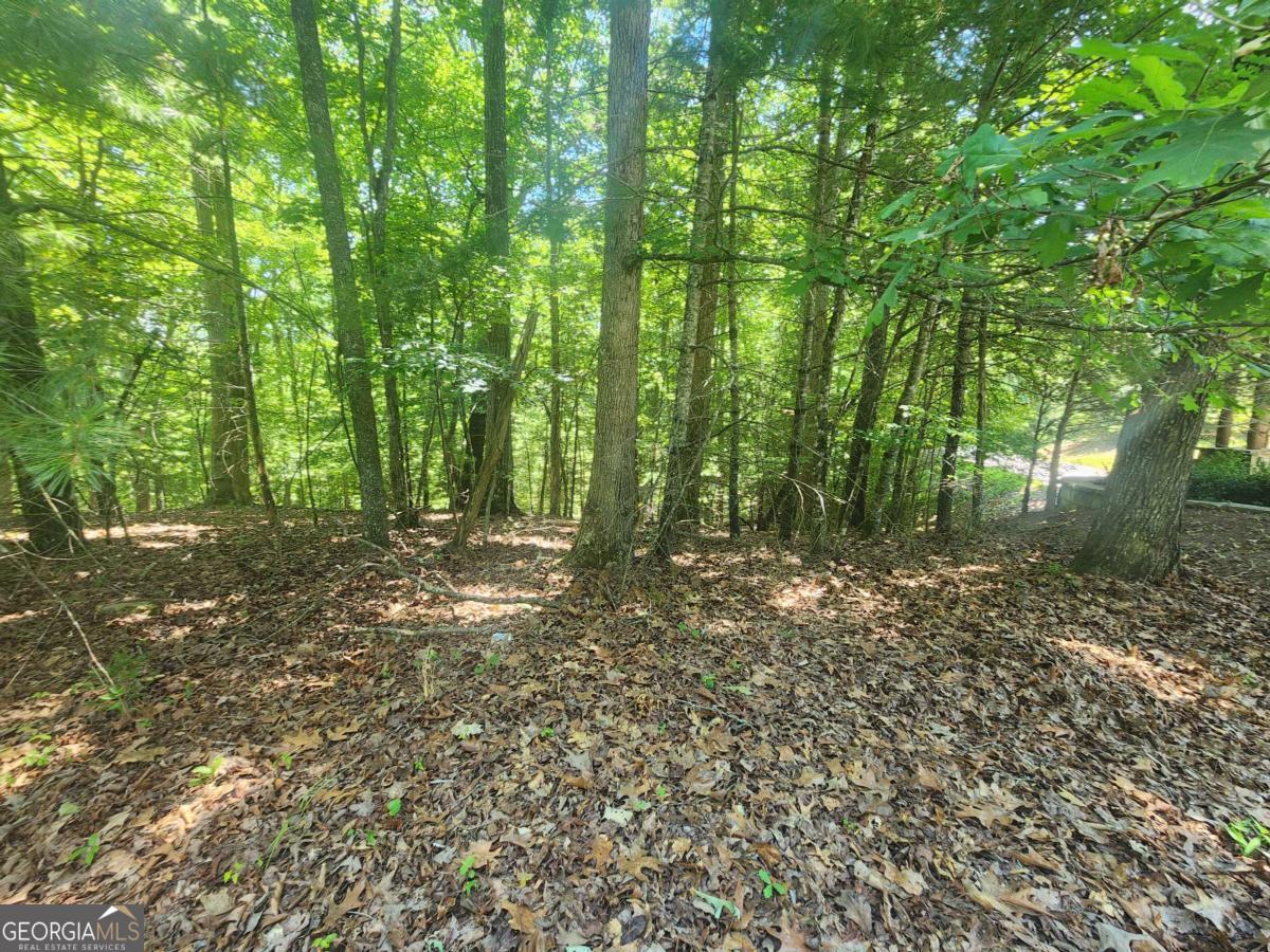 Lot 3 Meadow View Drive # 3 Property Photo 5