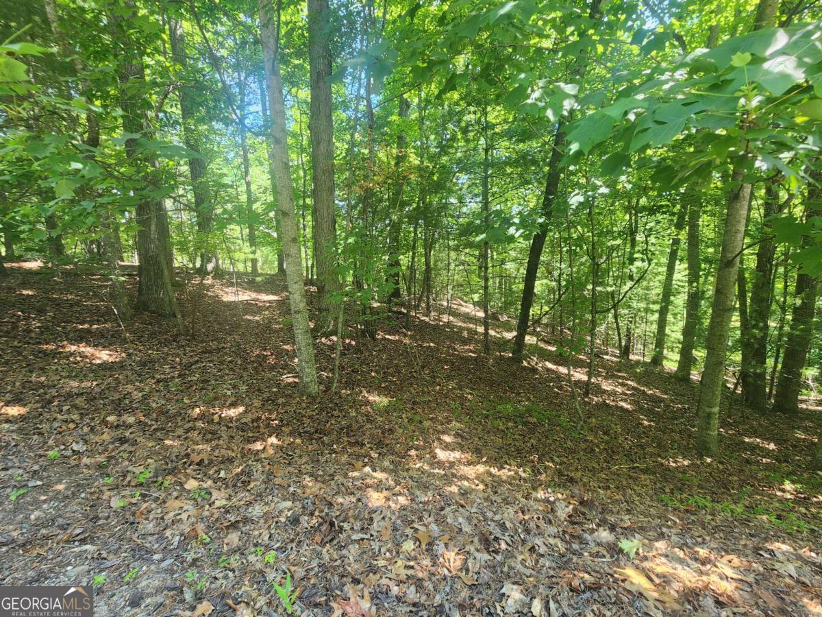 Lot 3 Meadow View Drive # 3 Property Photo 6