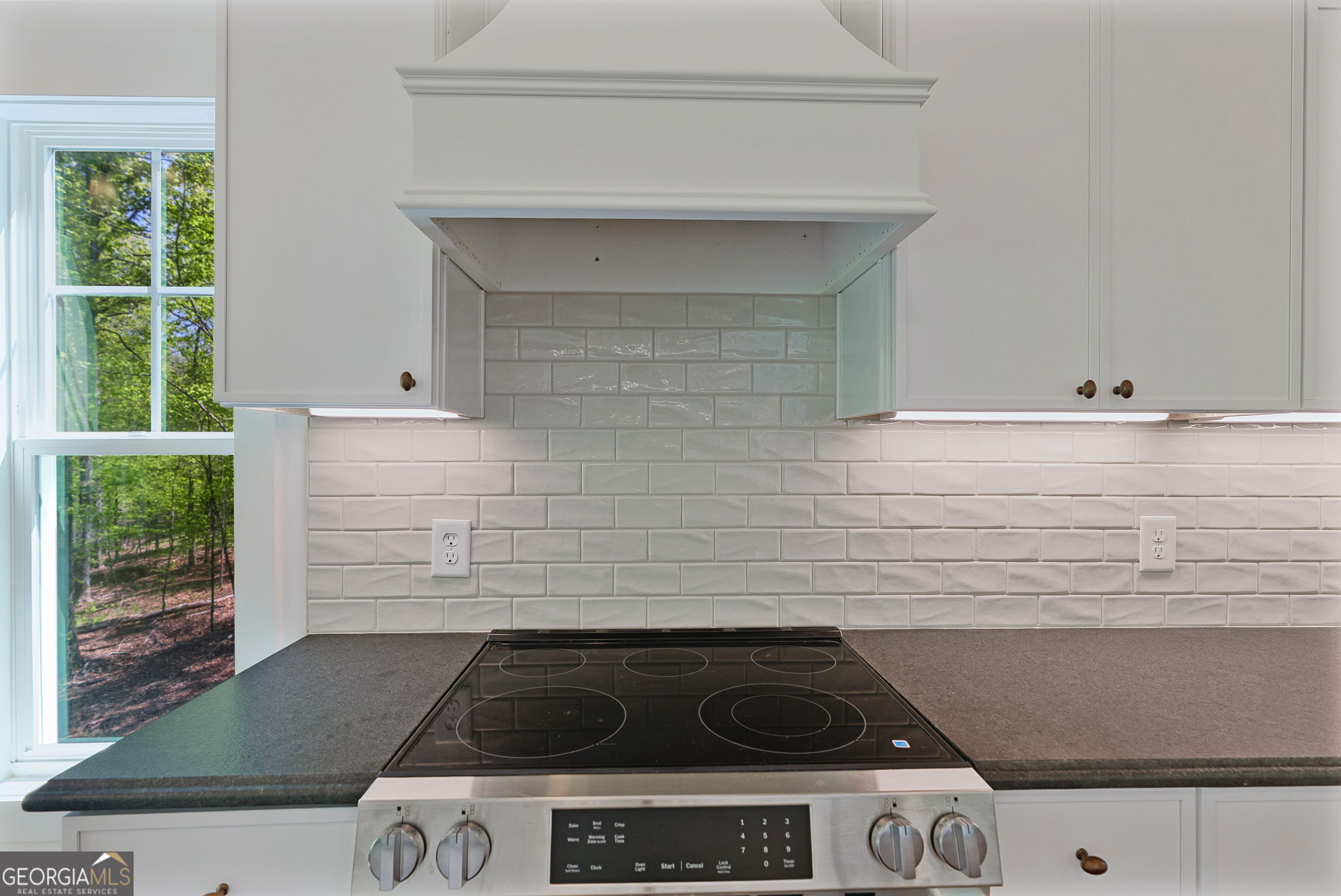 1031 Shadow Creek Way Property Photo 22