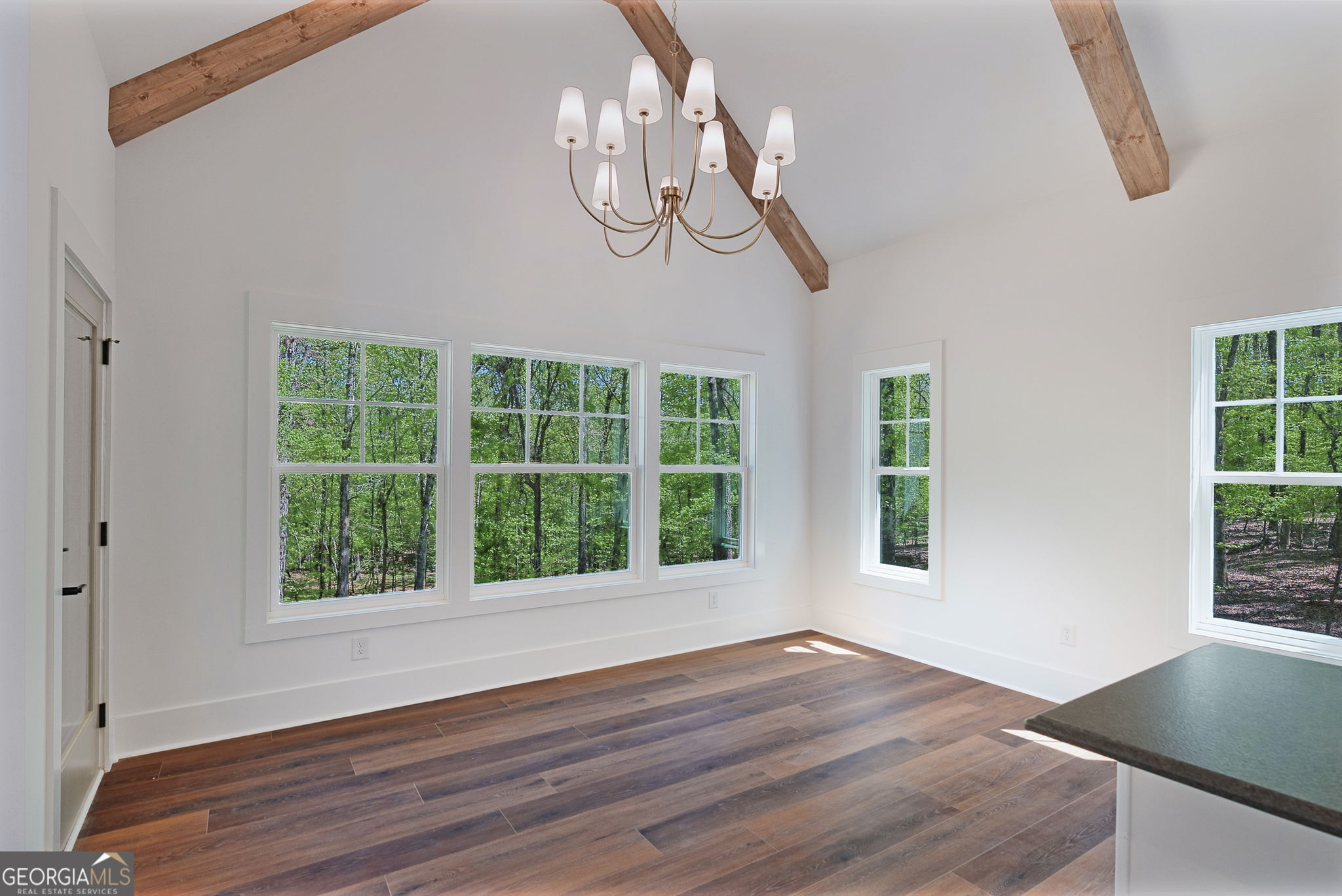 1031 Shadow Creek Way Property Photo 23