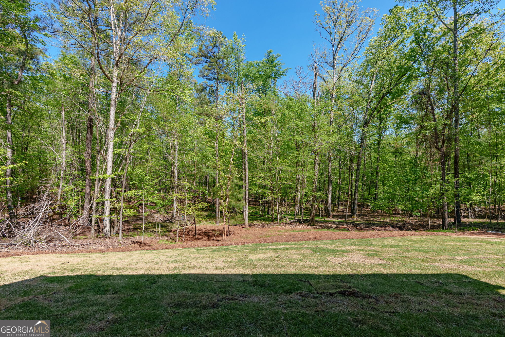 1031 Shadow Creek Way Property Photo 46
