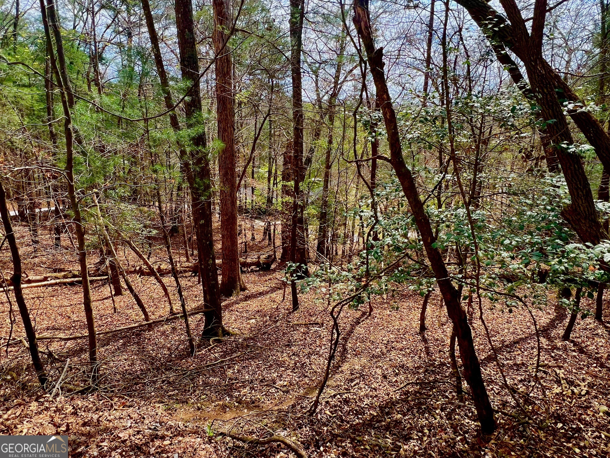525 Camber Court Property Photo 19