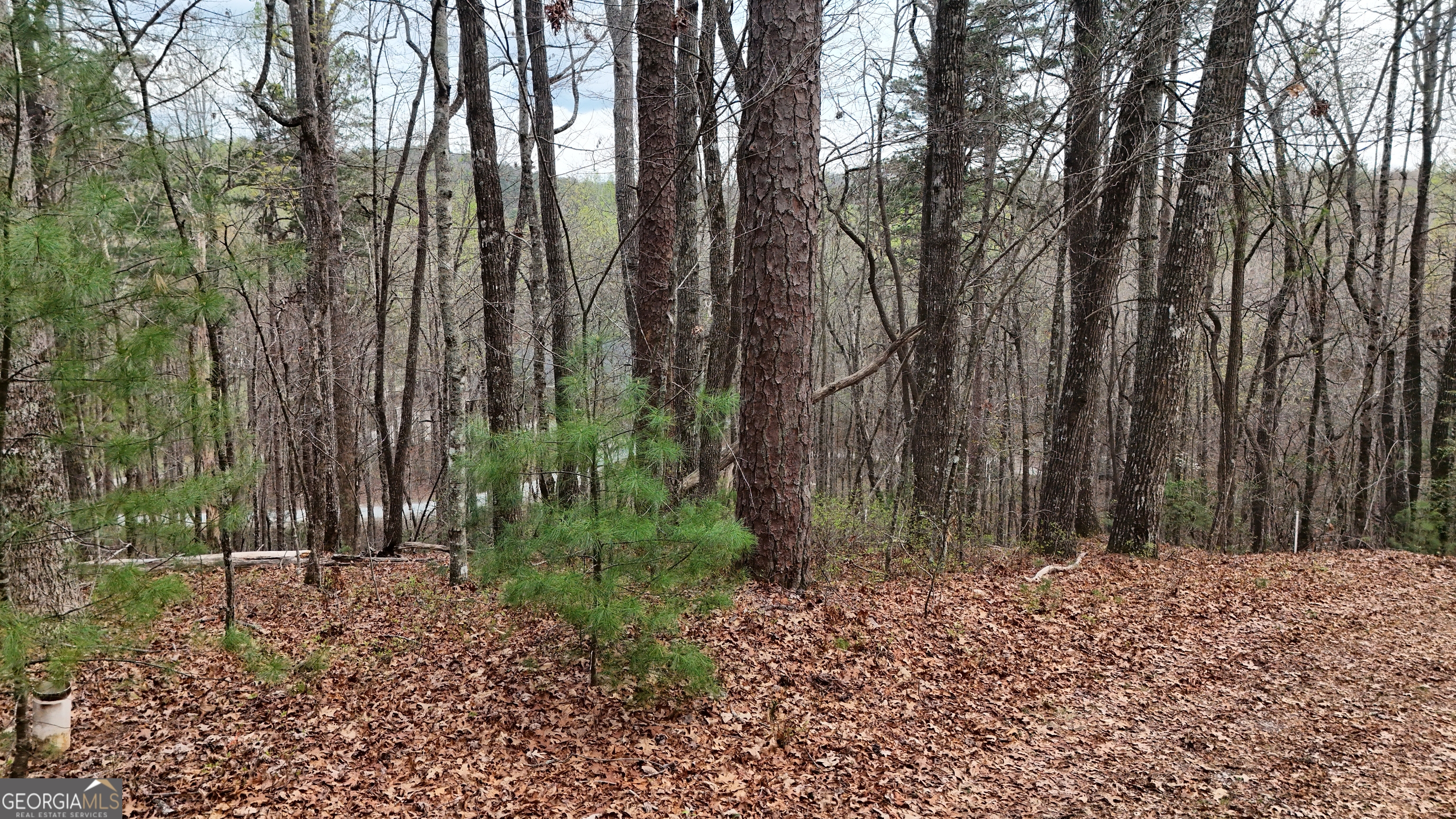 LOT 8 Settlement Lane Property Photo 1
