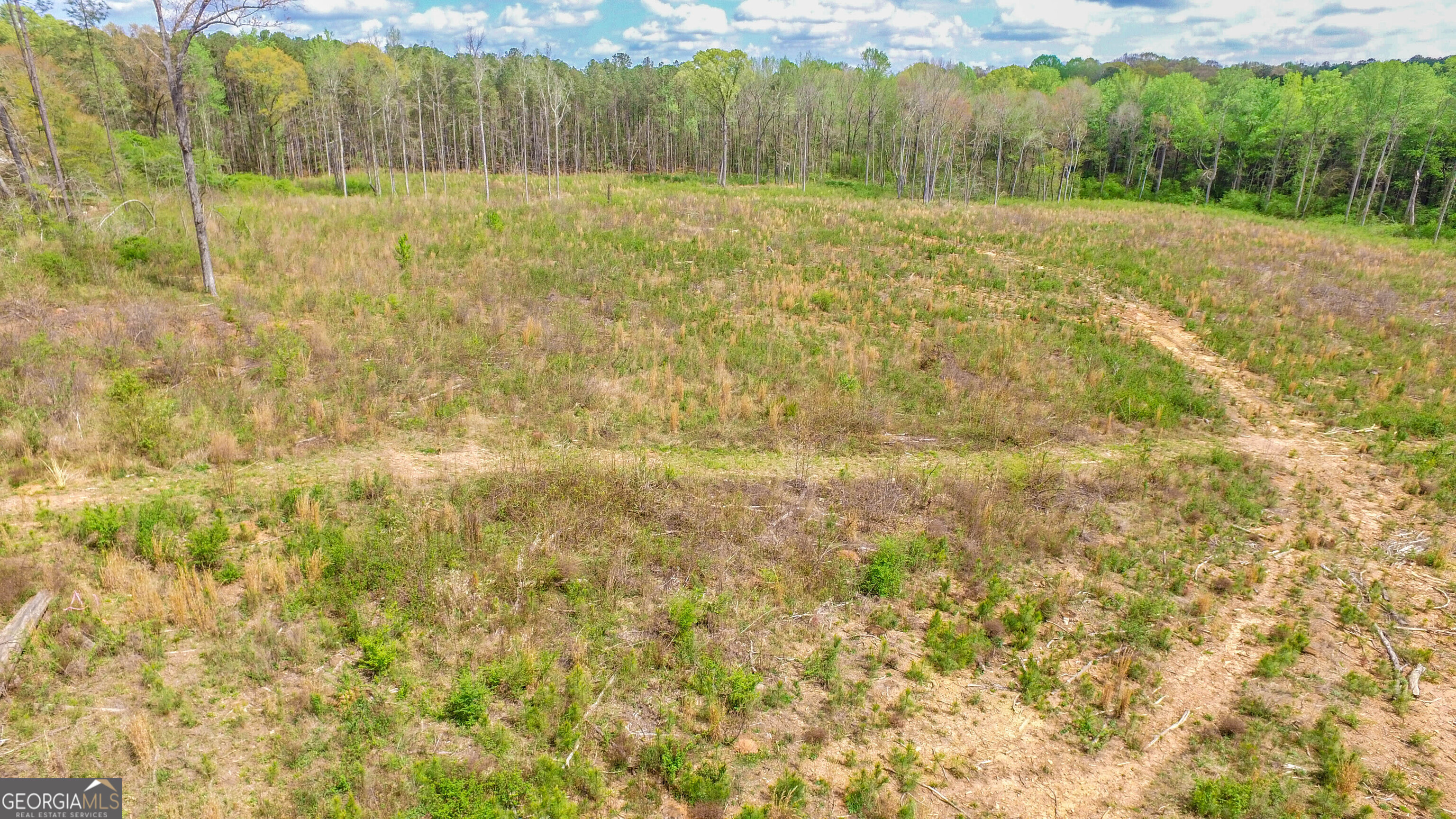 2185 Highway 85 Property Photo 3