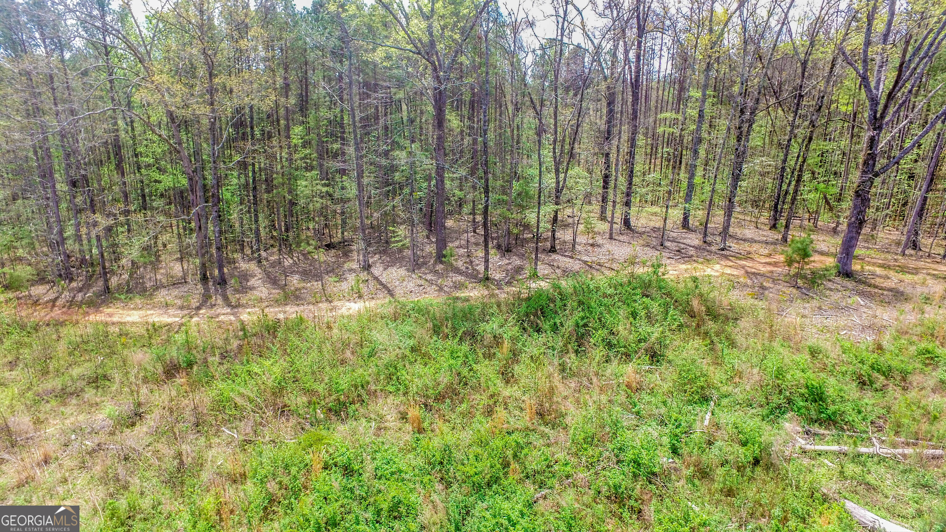 2185 Highway 85 Property Photo 7