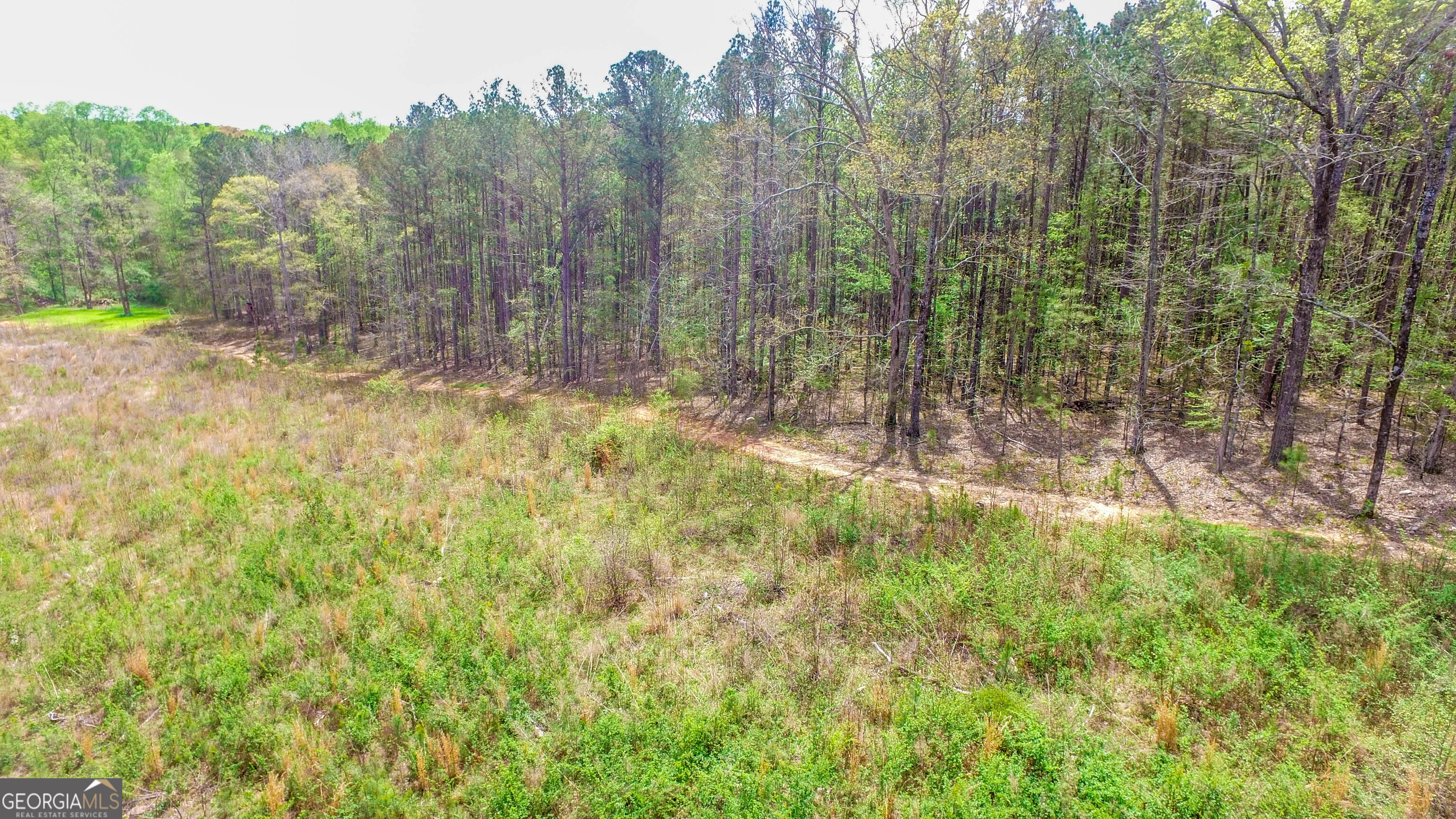 2185 Highway 85 Property Photo 8