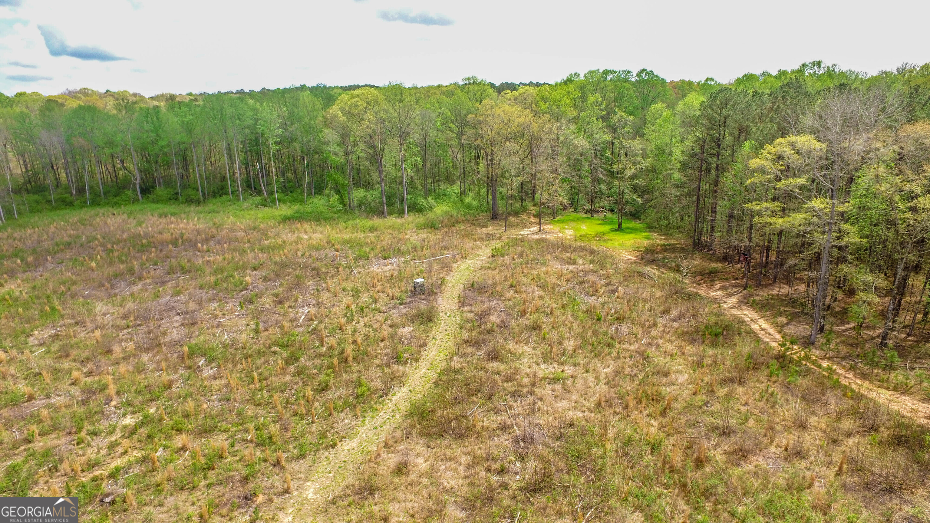 2185 Highway 85 Property Photo 13