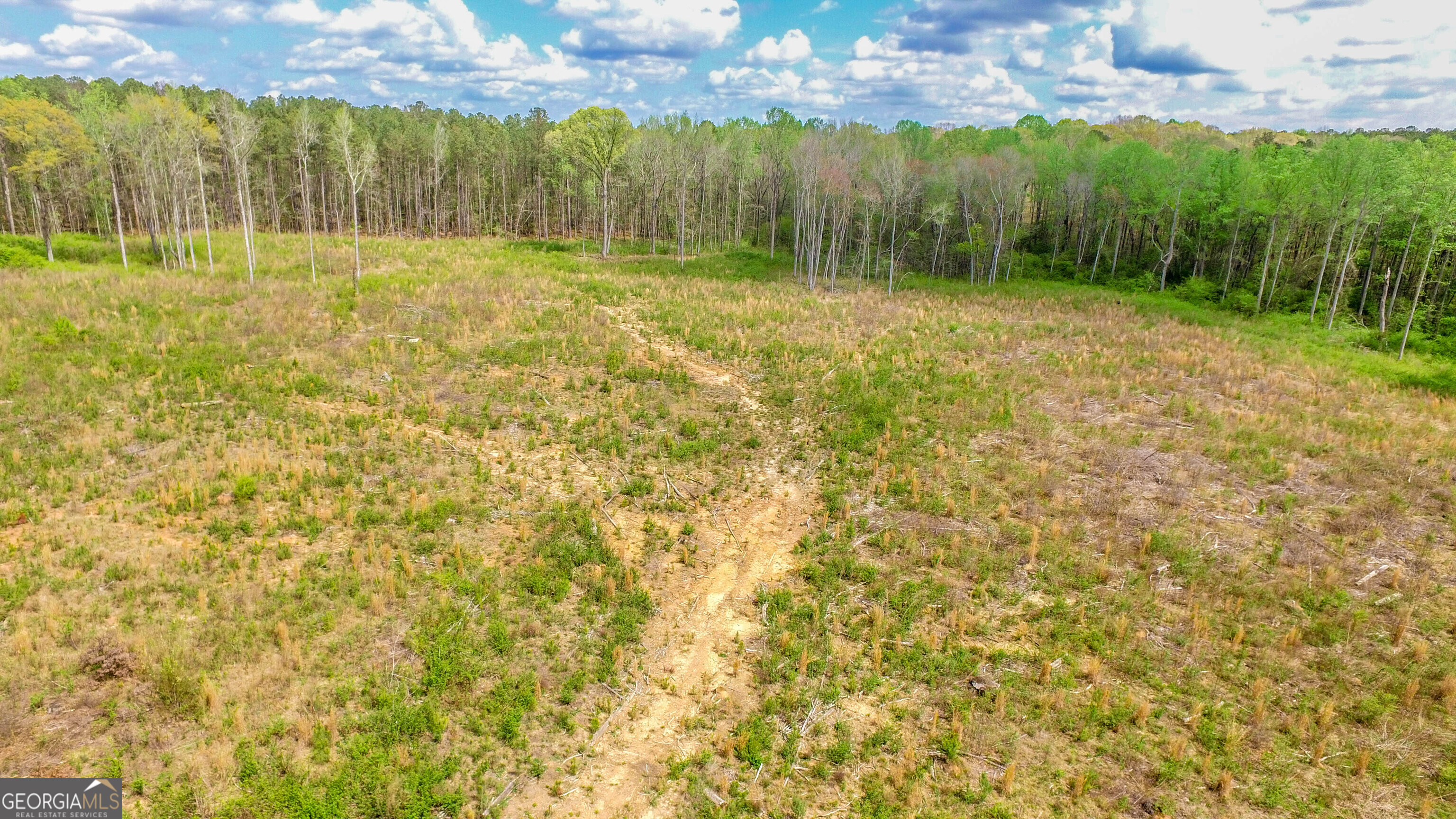 2185 Highway 85 Property Photo 15