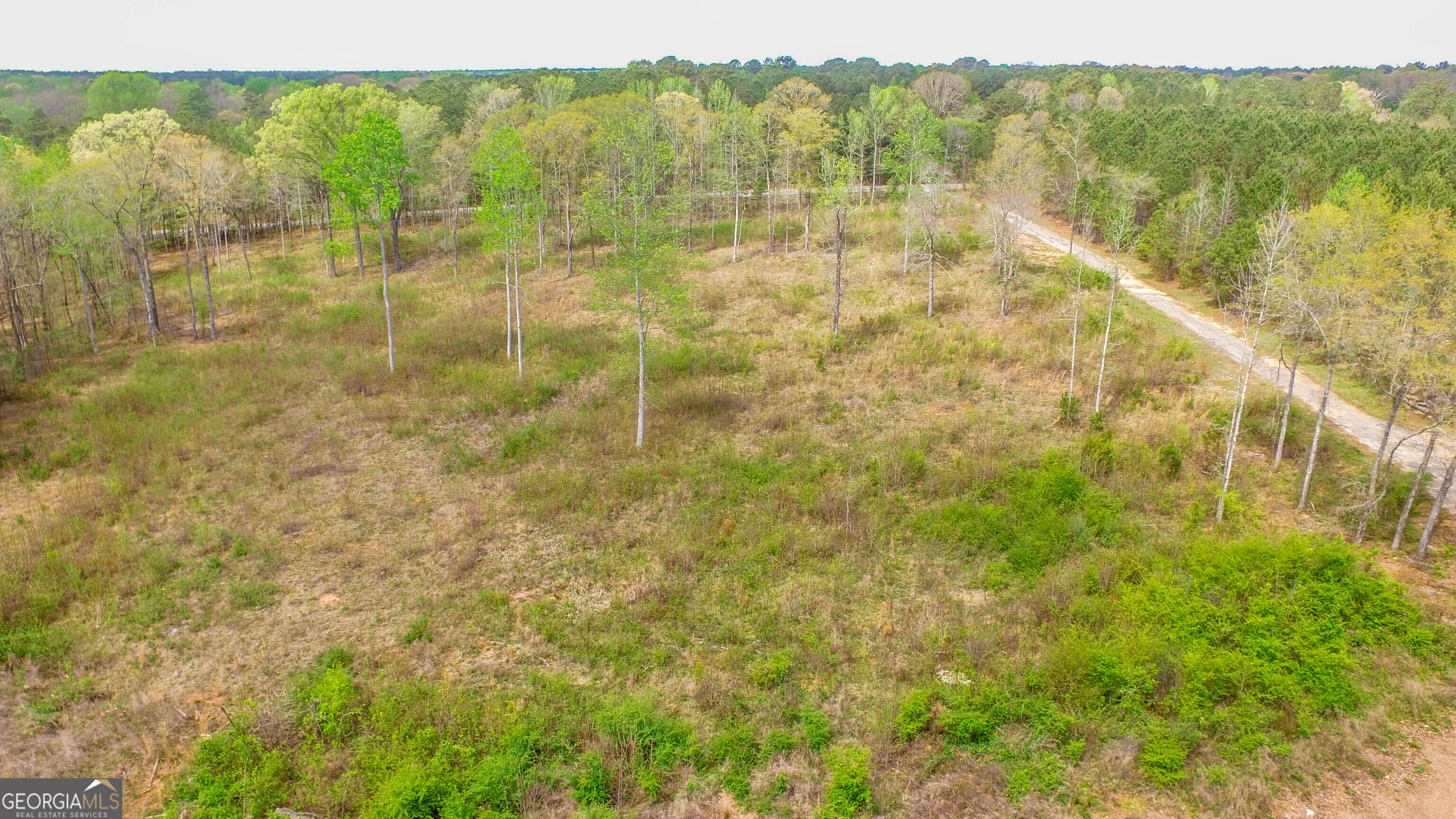 2185 Highway 85 Property Photo 23