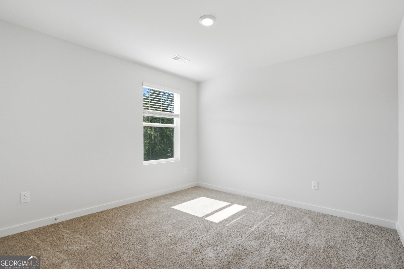 344 Jarrett Street Property Photo 24