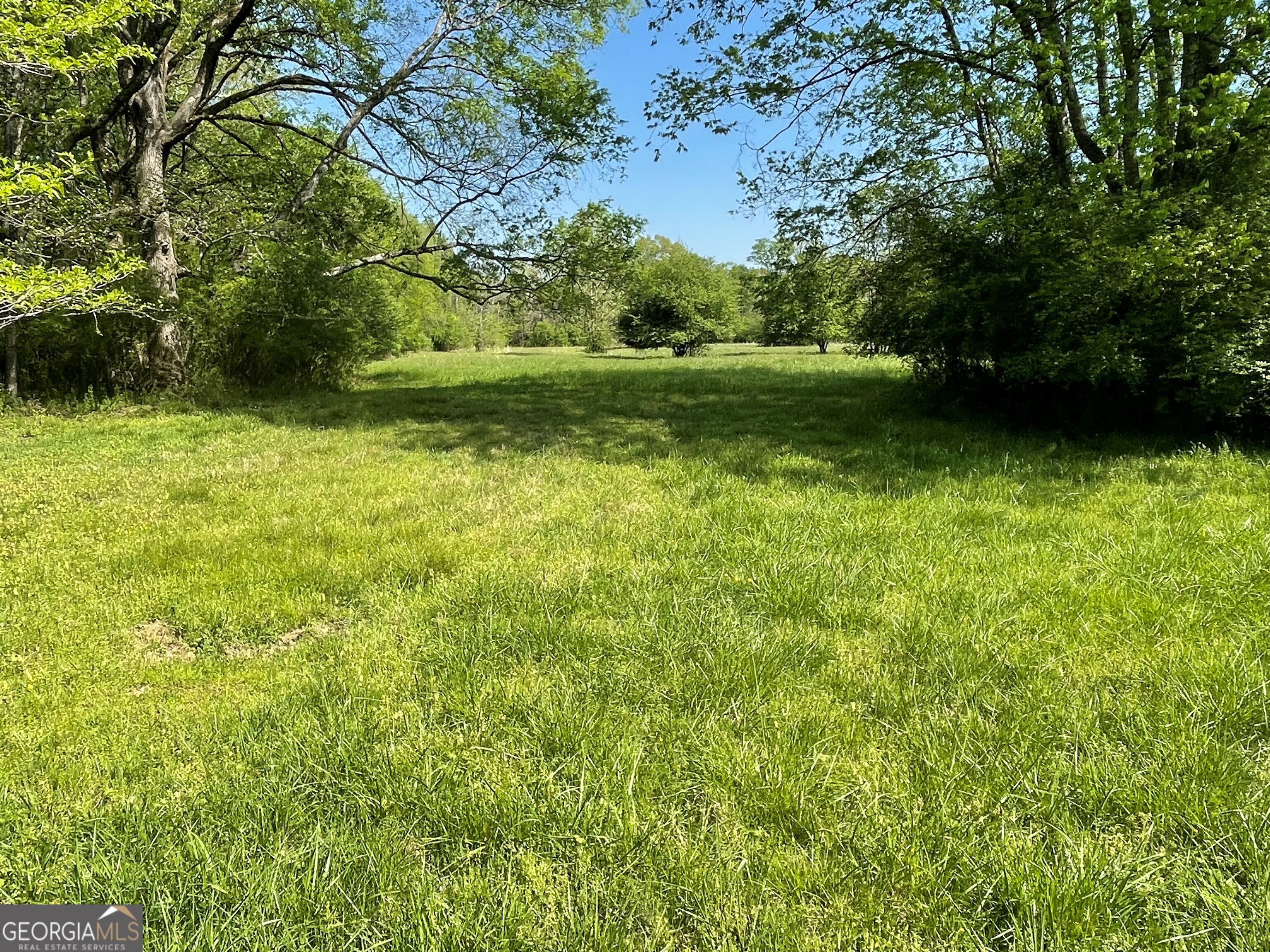 0 New Mathis Road Property Photo 2