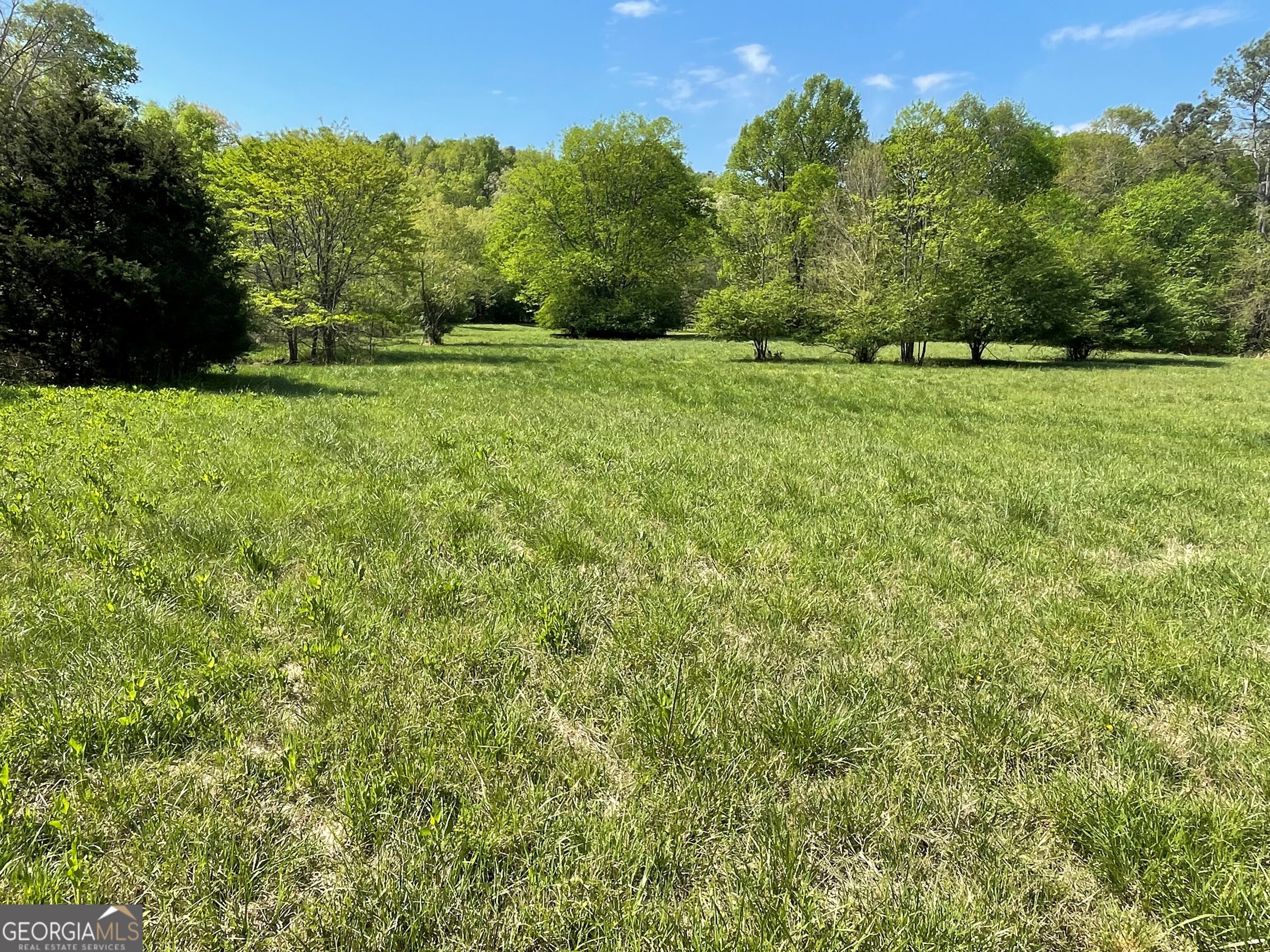 0 New Mathis Road Property Photo 3