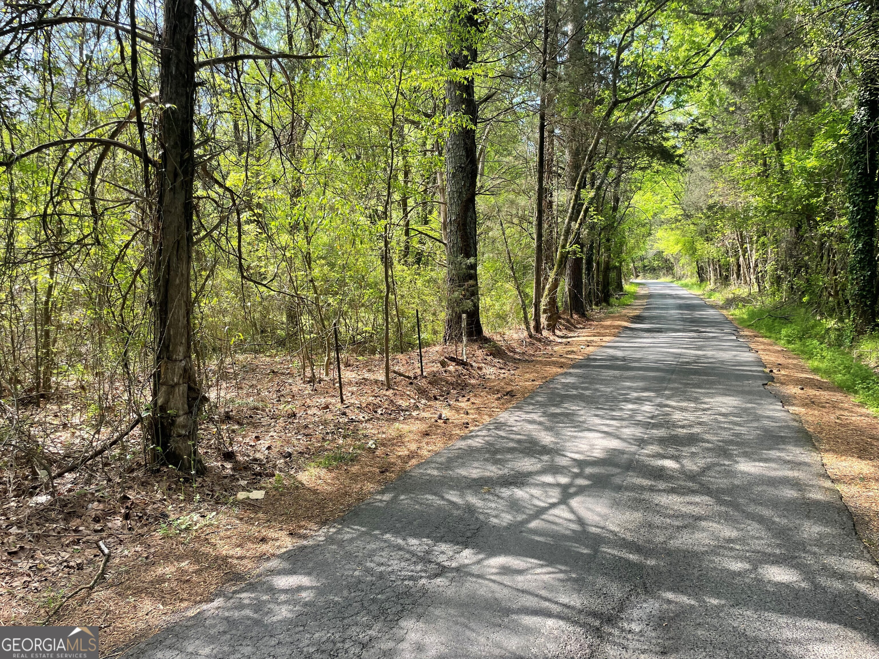 0 New Mathis Road Property Photo 4