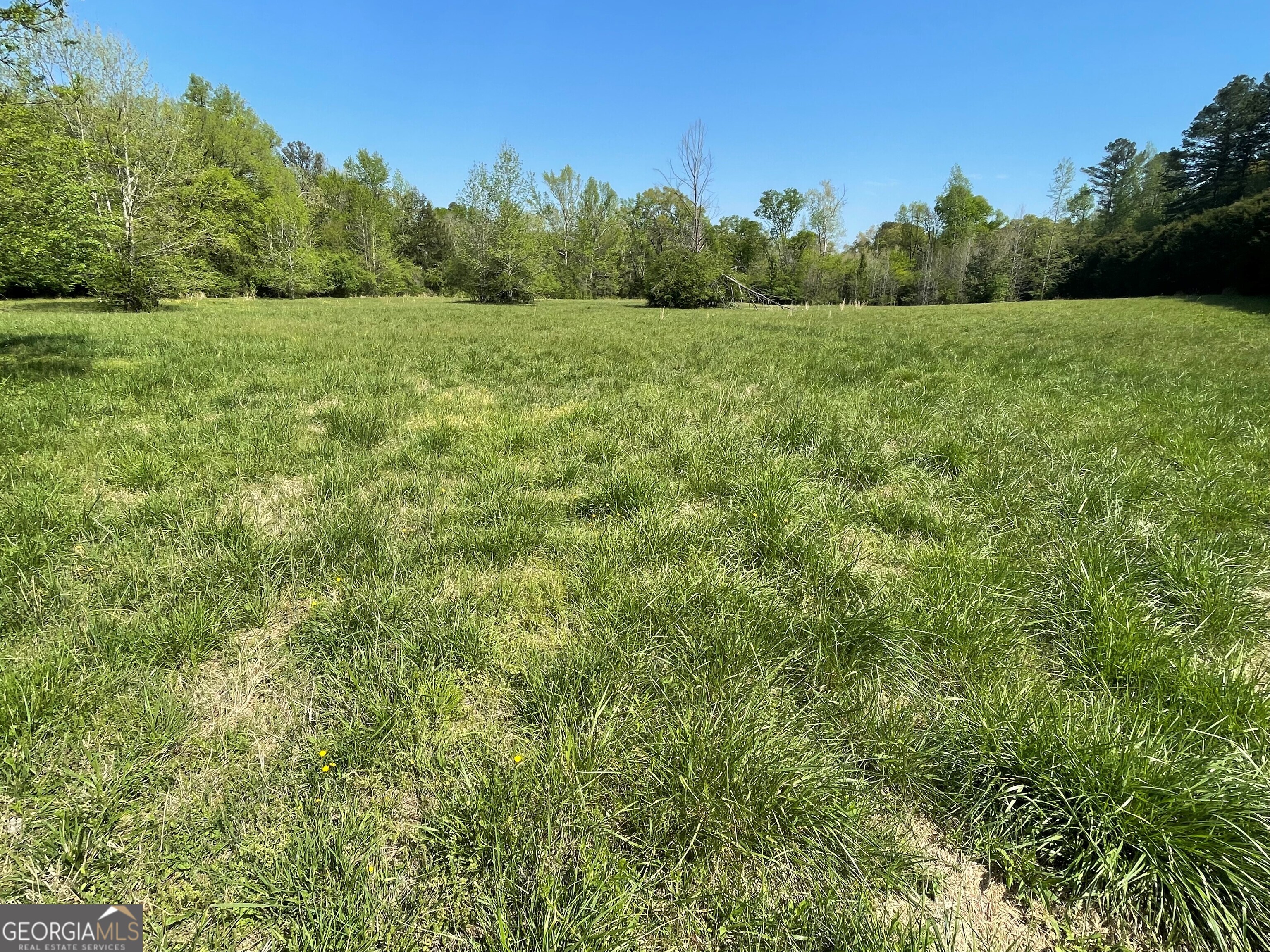 0 New Mathis Road Property Photo 9