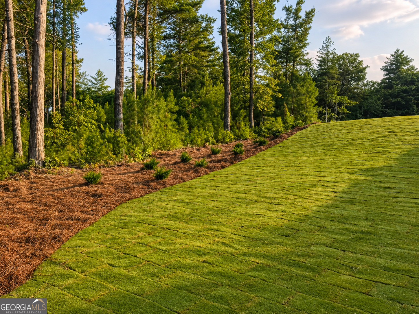 469 Oakwood Way Lot 164 Property Photo 7