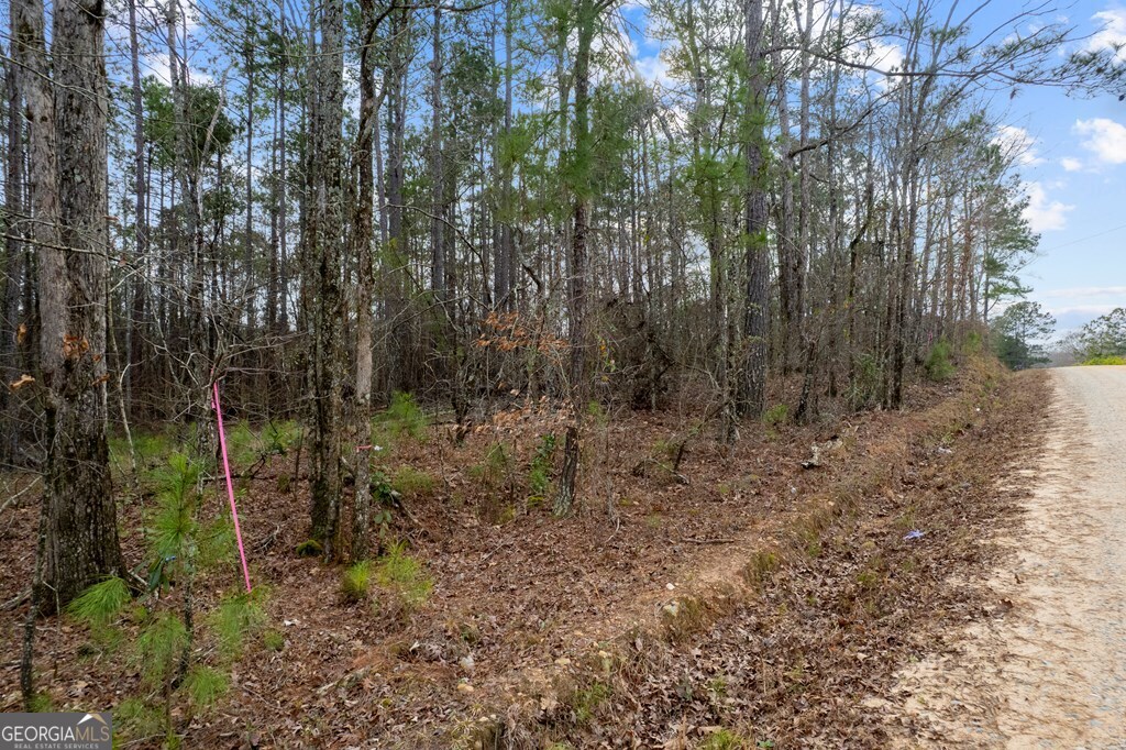 445 Lake Laurel Road Ne Property Photo 16
