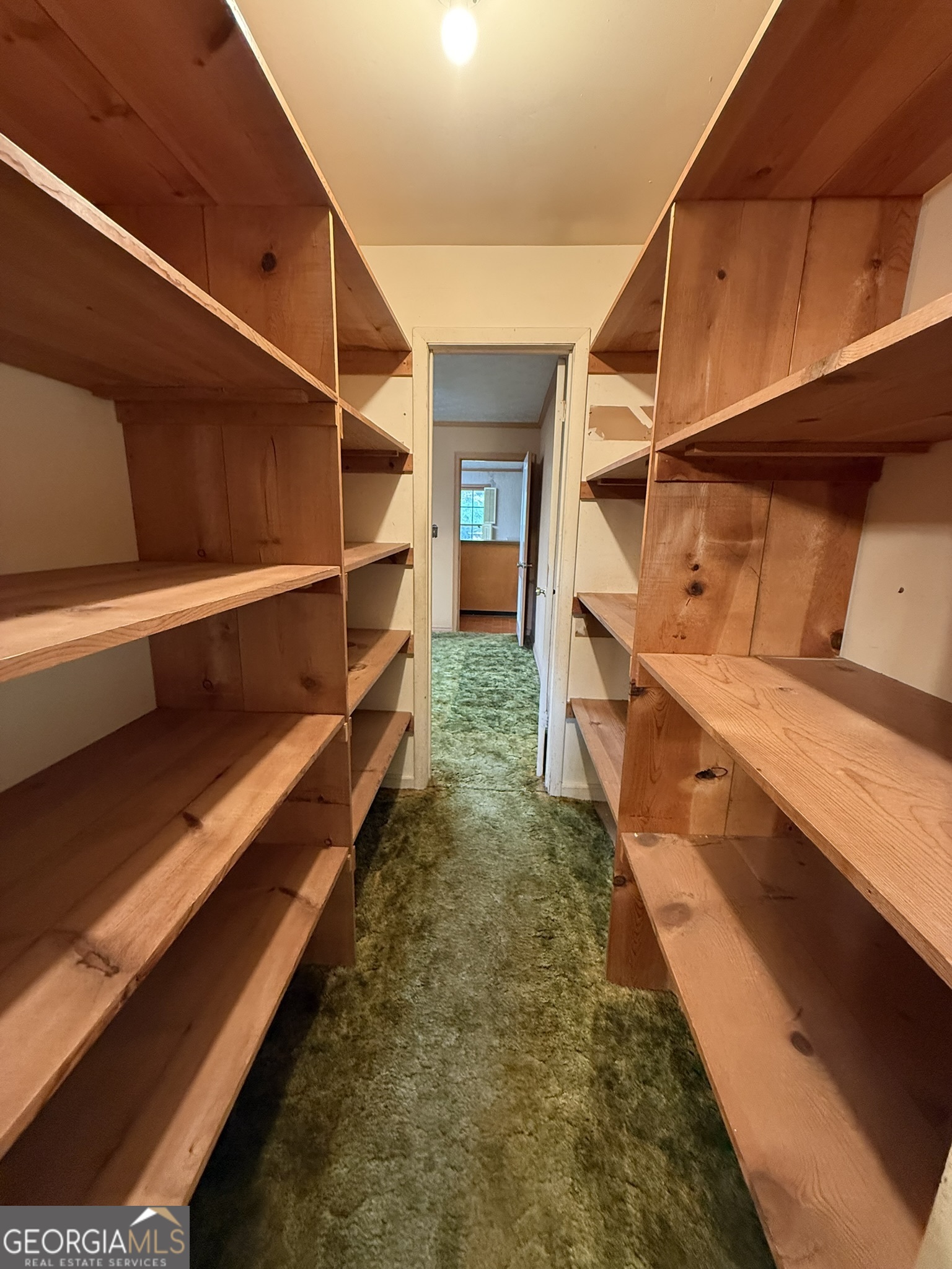 109 Vernon Street Property Photo 17