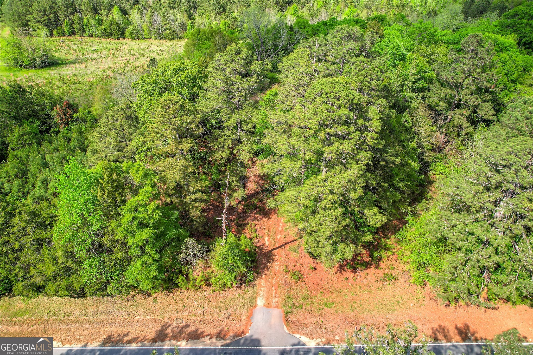 6995 Cobbham Road Property Photo 3