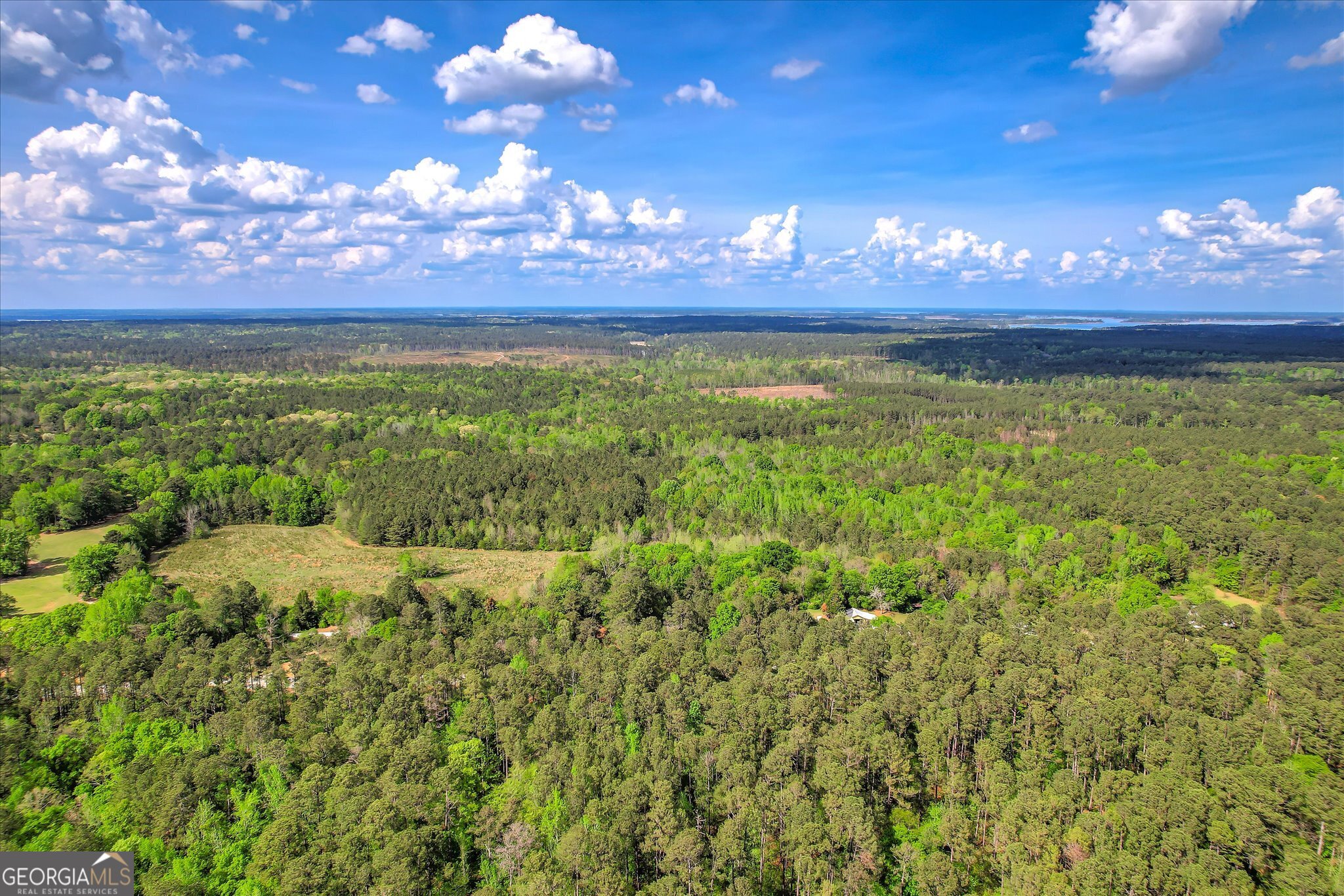 6995 Cobbham Road Property Photo 4
