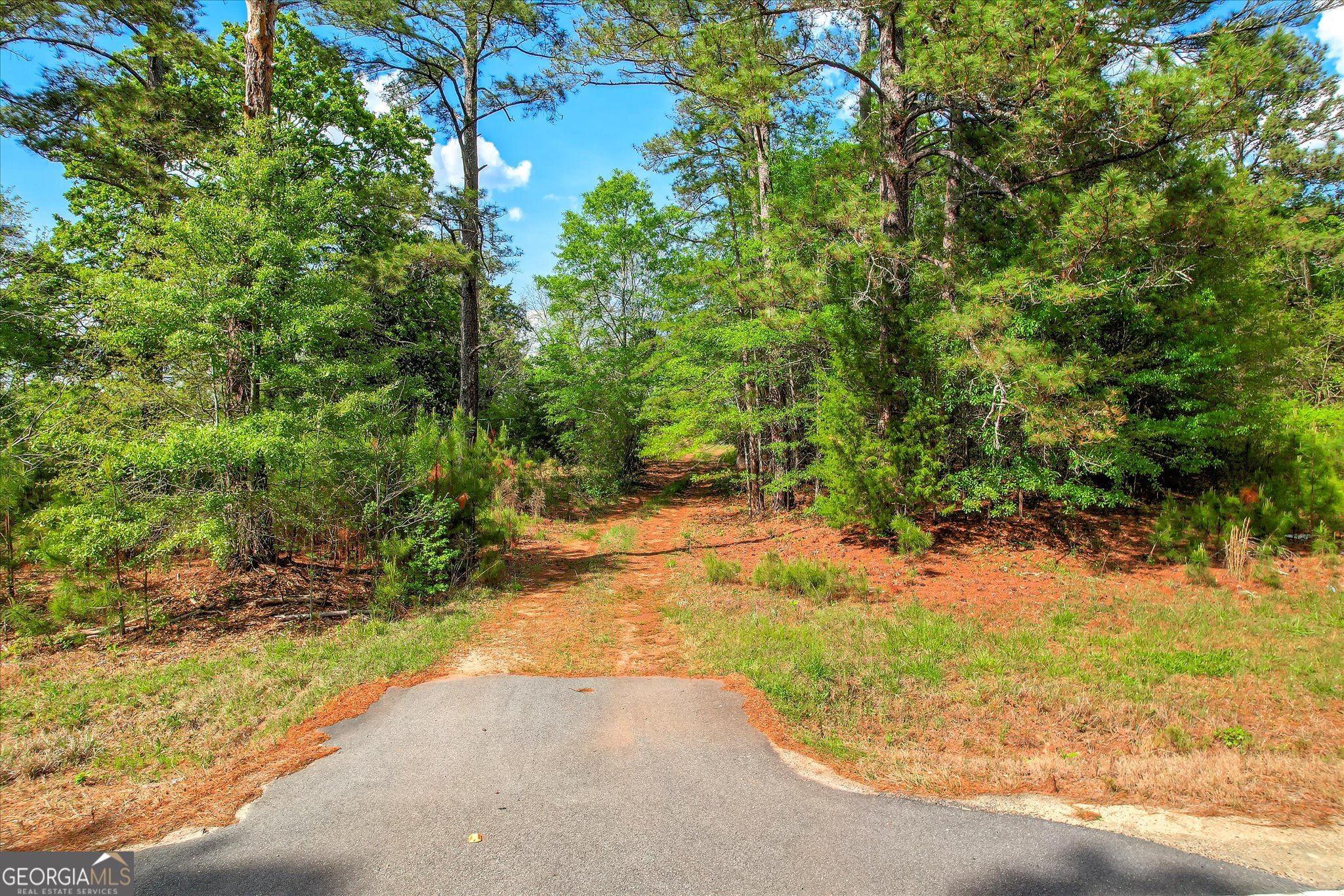 6995 Cobbham Road Property Photo 9