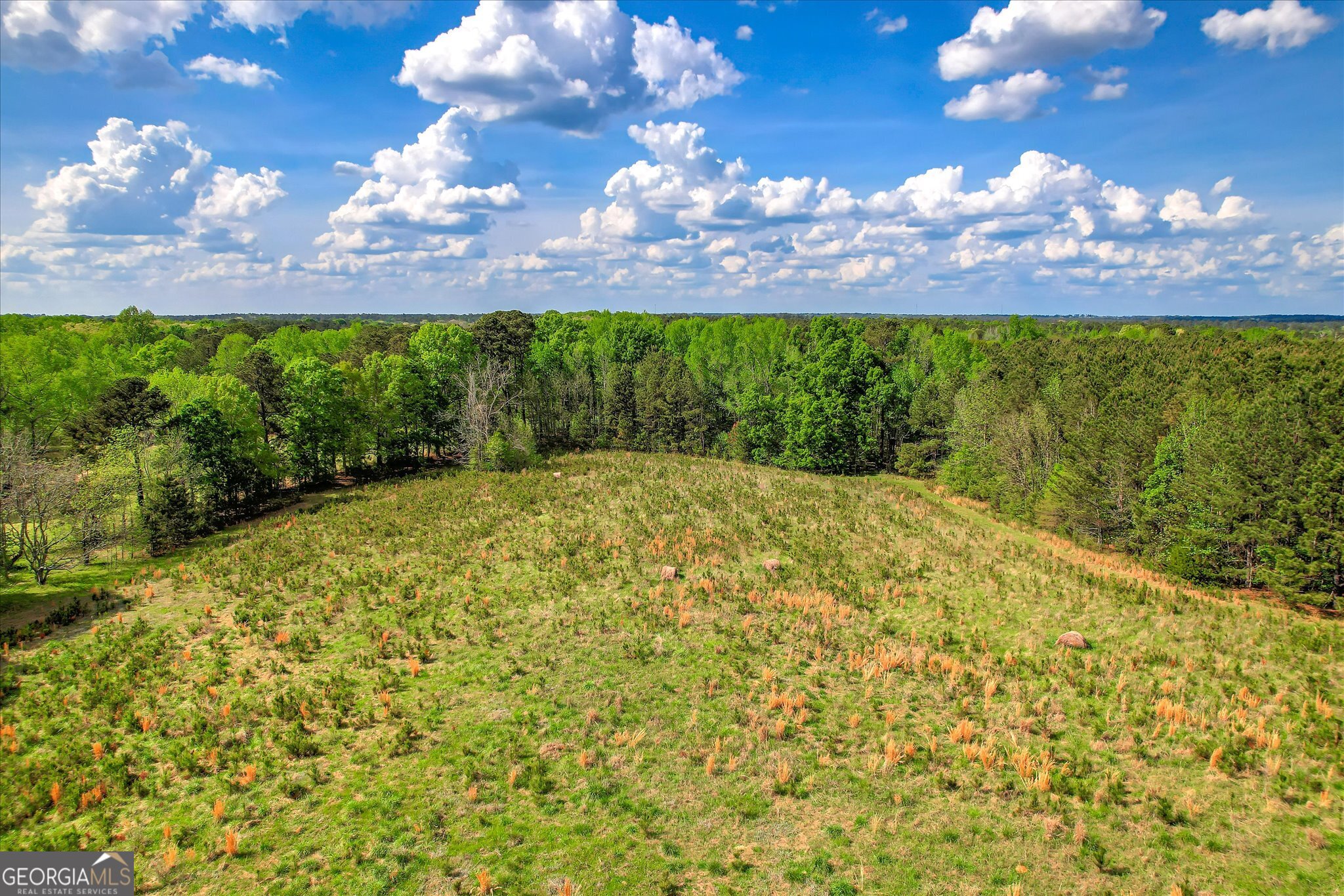 6995 Cobbham Road Property Photo 12