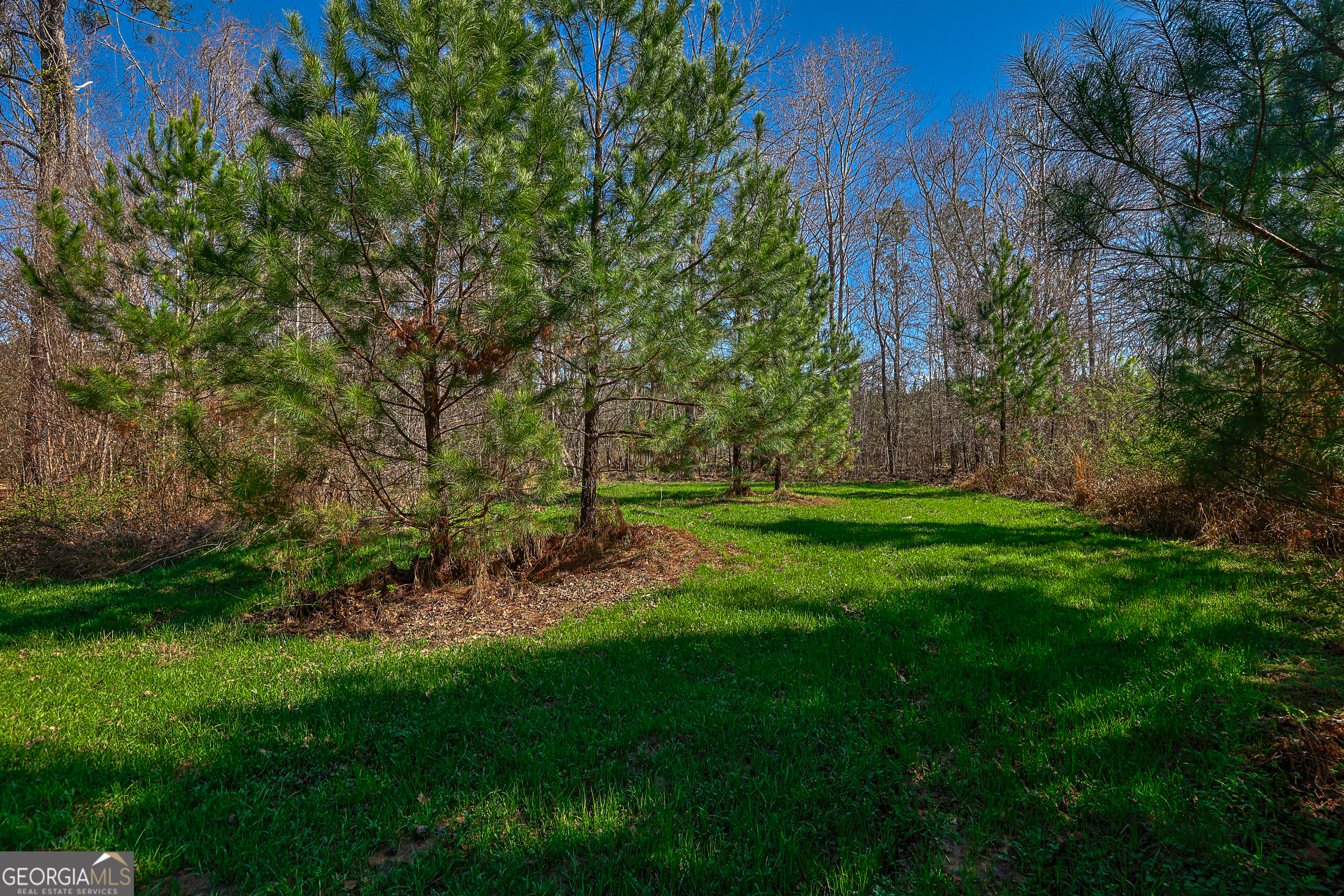0 Island Creek Road Property Photo 11