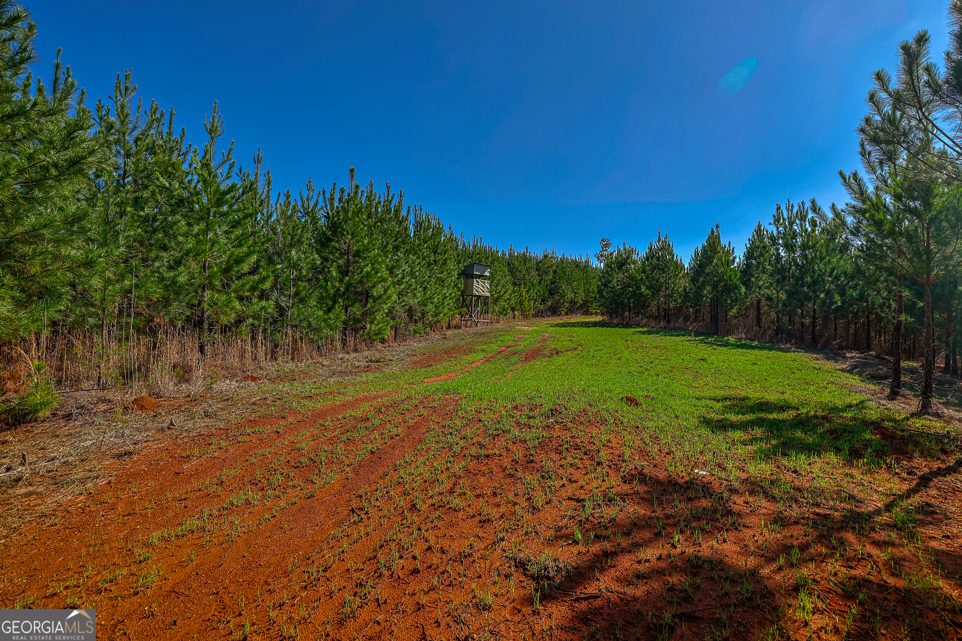 0 Island Creek Road Property Photo 12