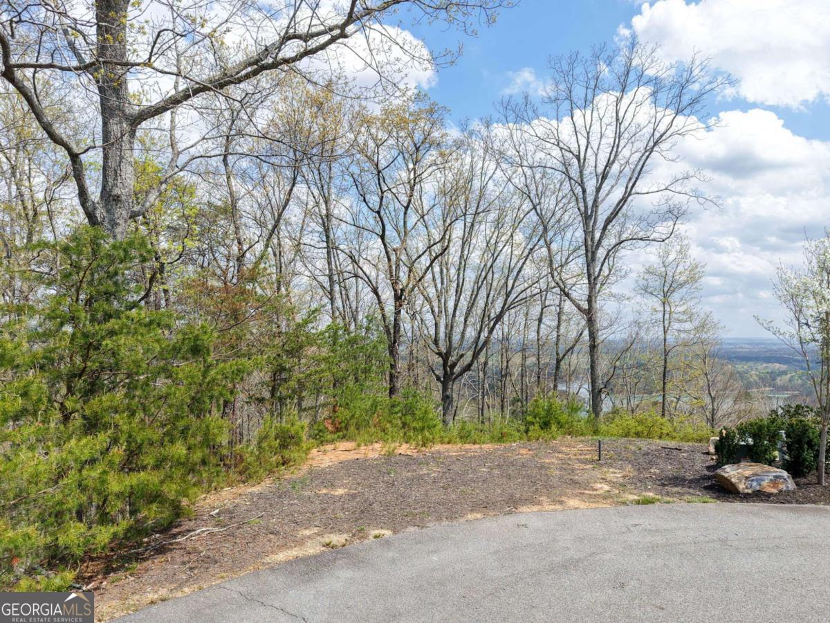 12 Signal Mountain Circle Property Photo 5
