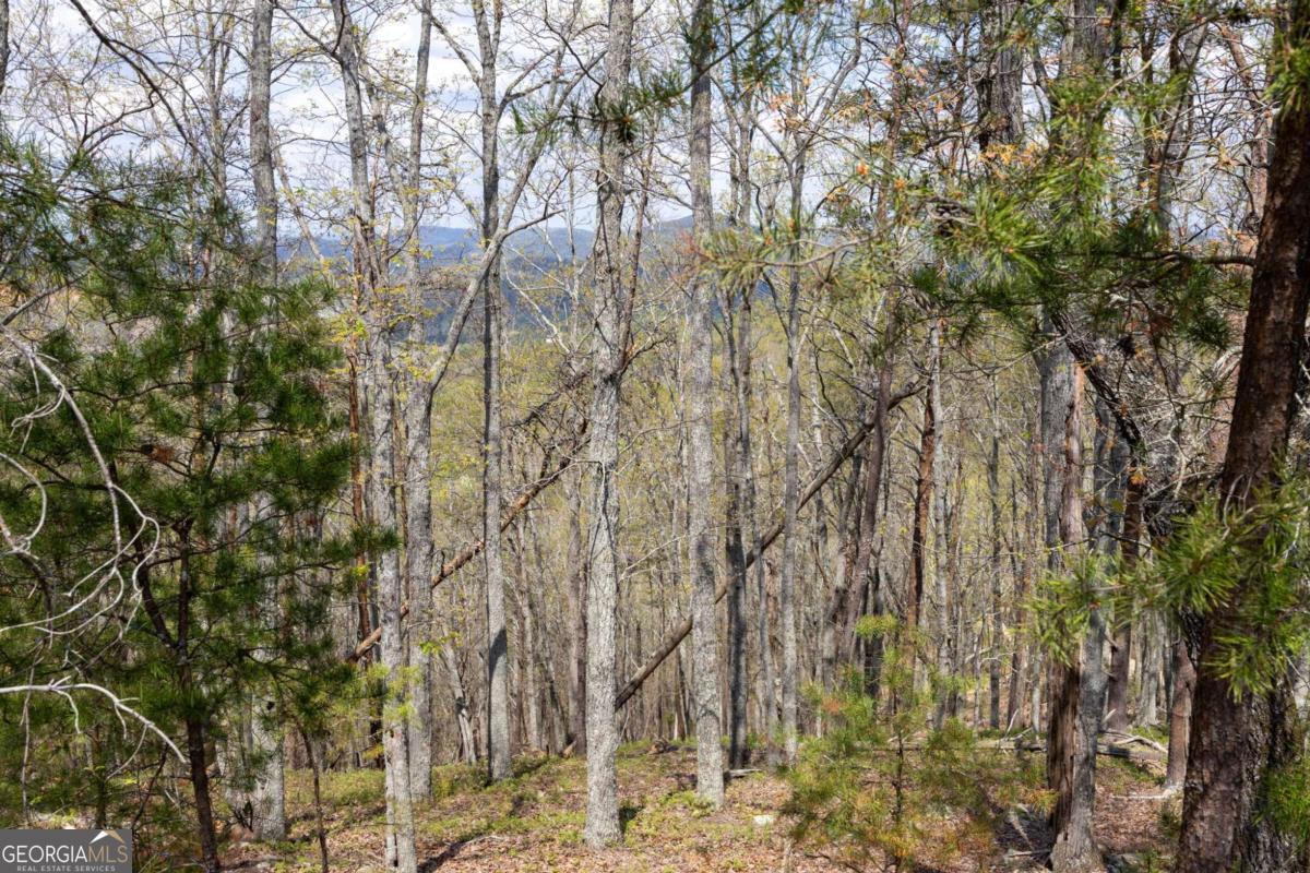12 Signal Mountain Circle Property Photo 9