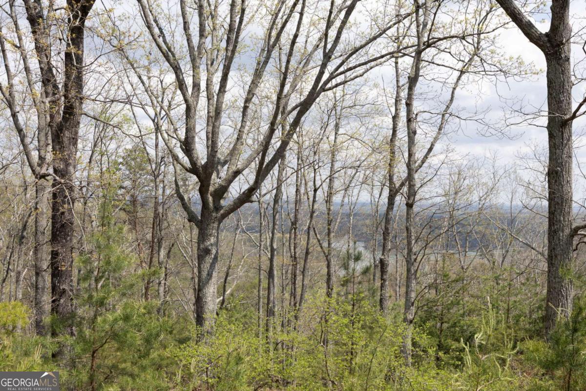 12 Signal Mountain Circle Property Photo 10