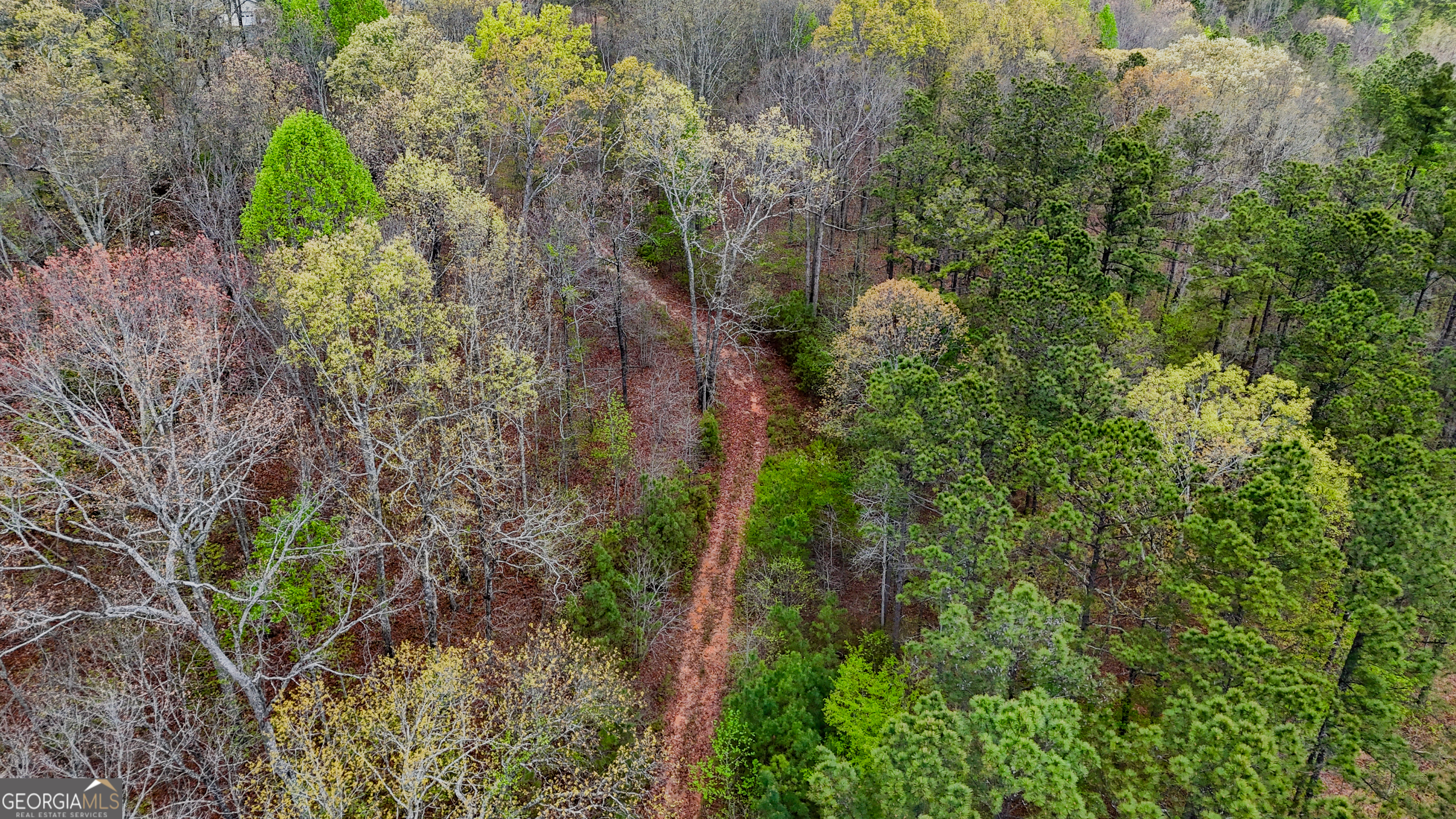 78 Acres Cross Plains Road Property Photo 1